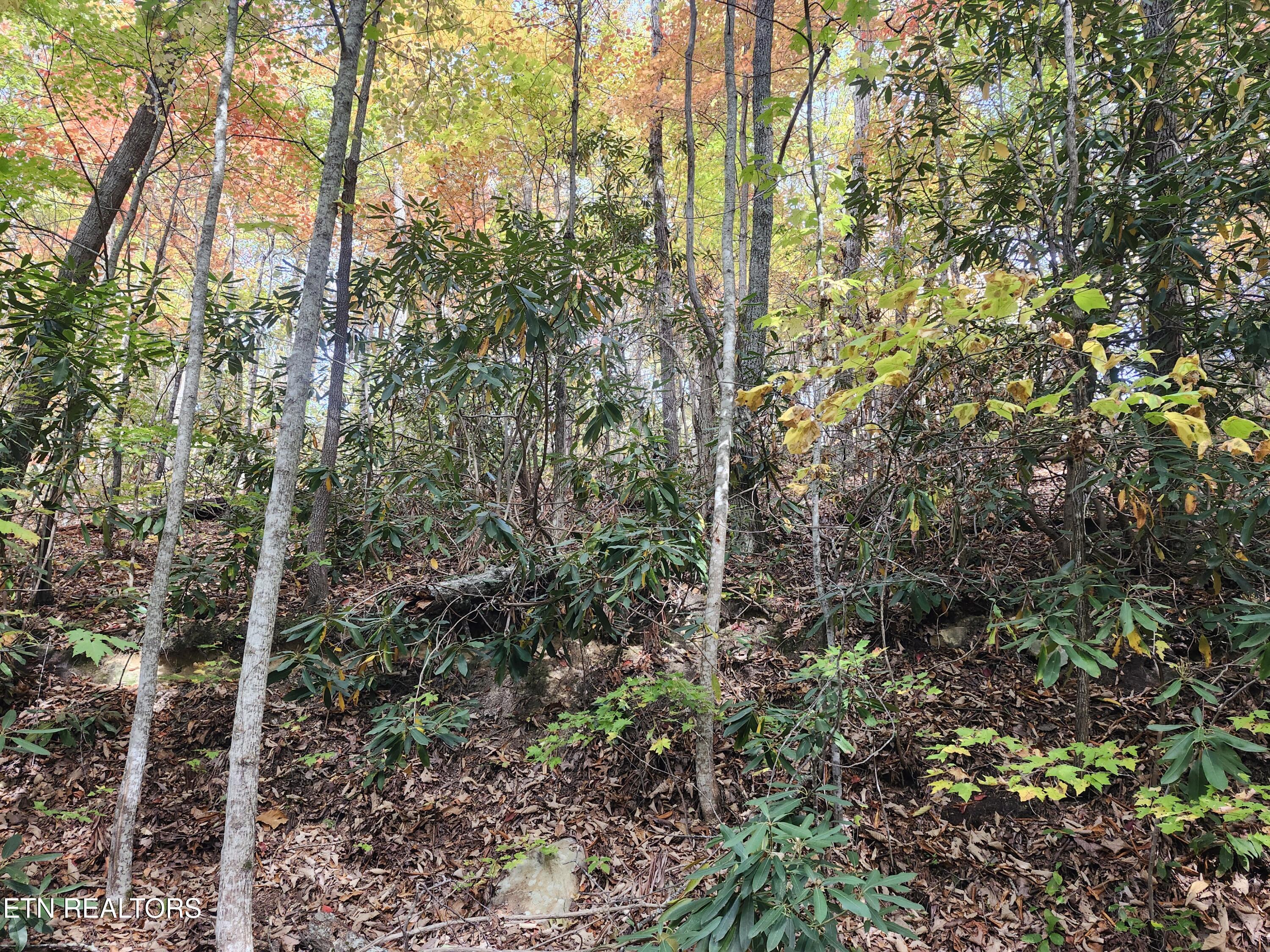 Lot 11 Bluff Mountain Road Sevierville TN 37876