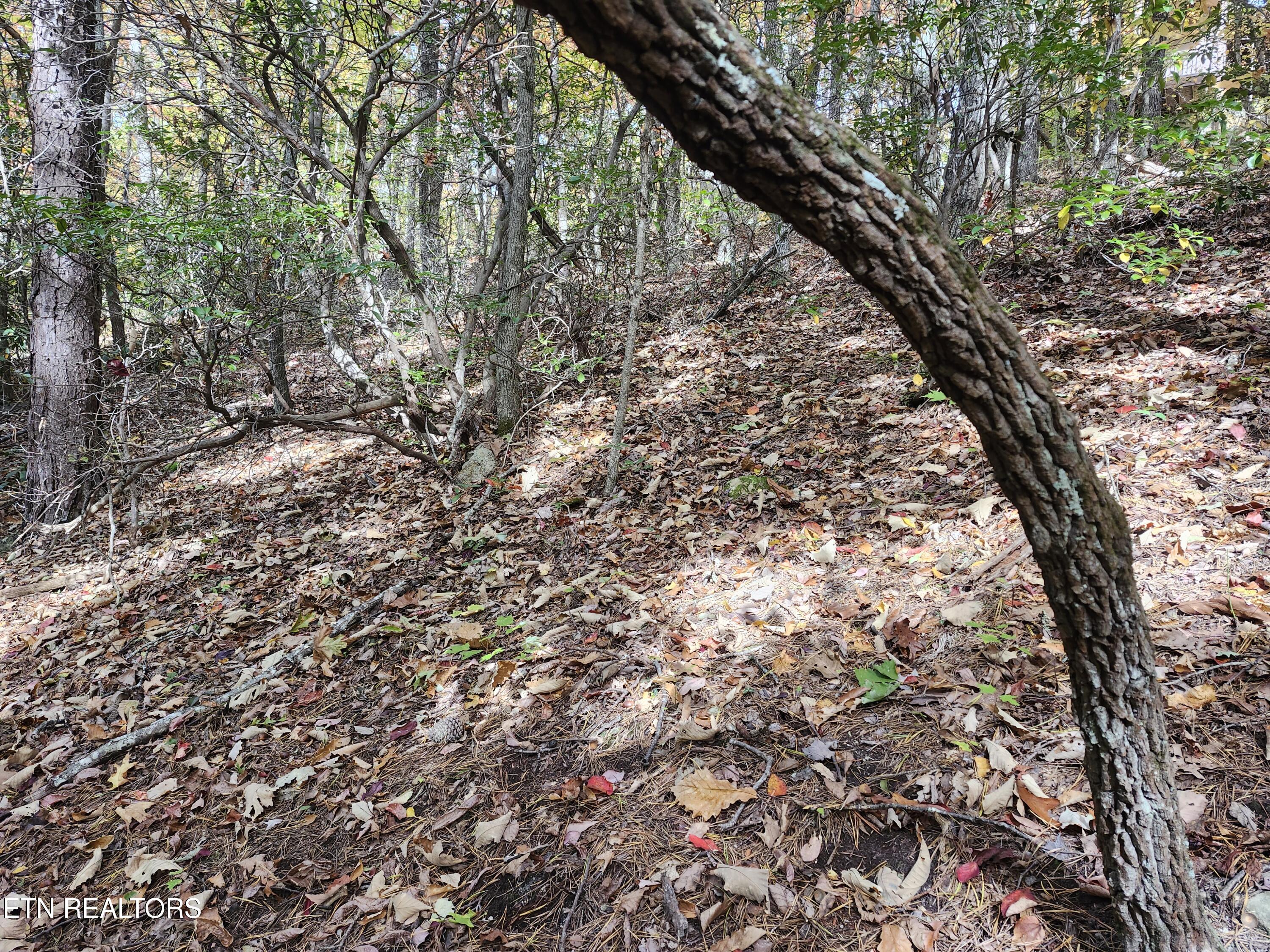 Lot 11 Bluff Mountain Road Sevierville TN 37876