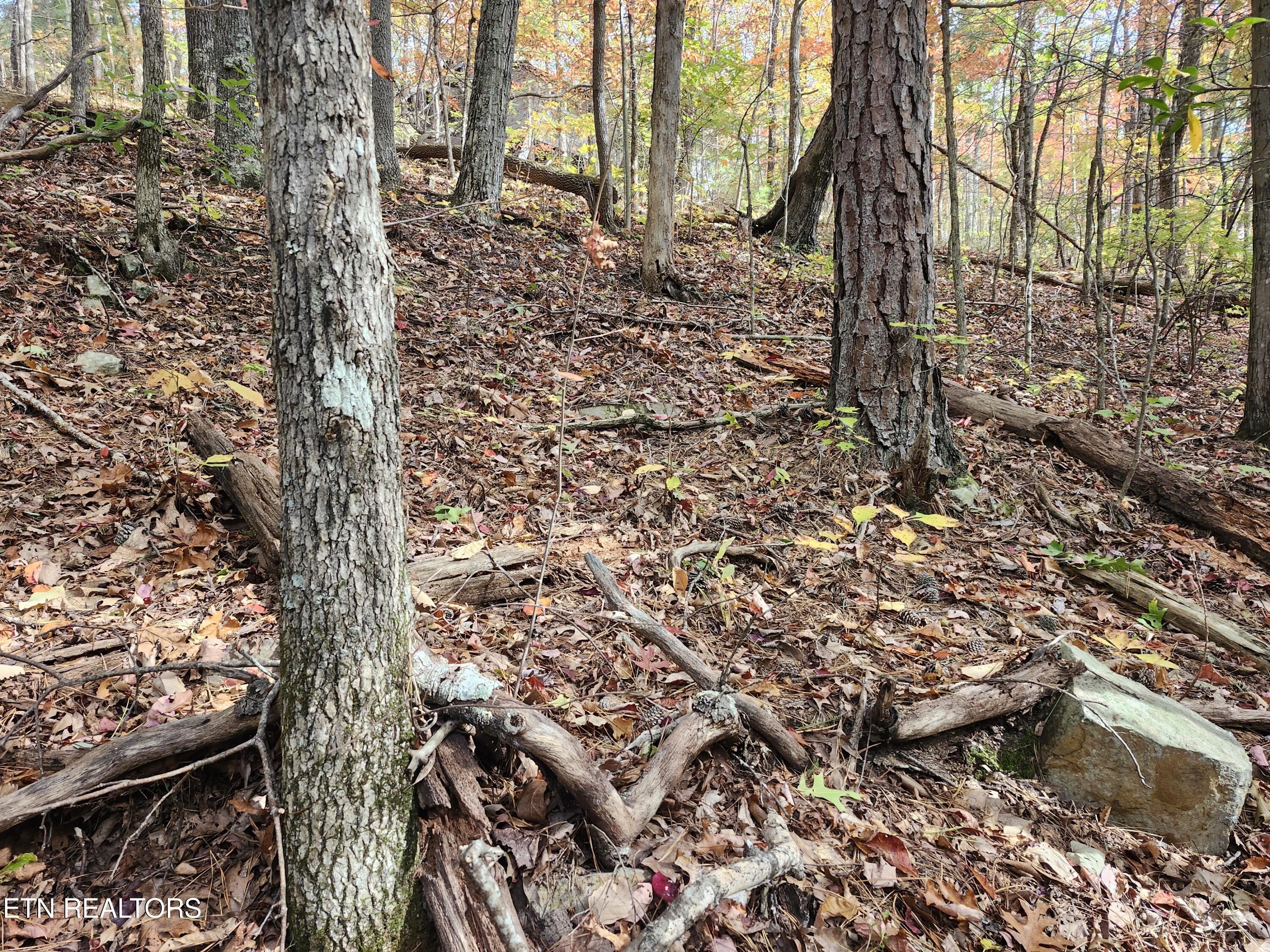 Lot 11 Bluff Mountain Road Sevierville TN 37876