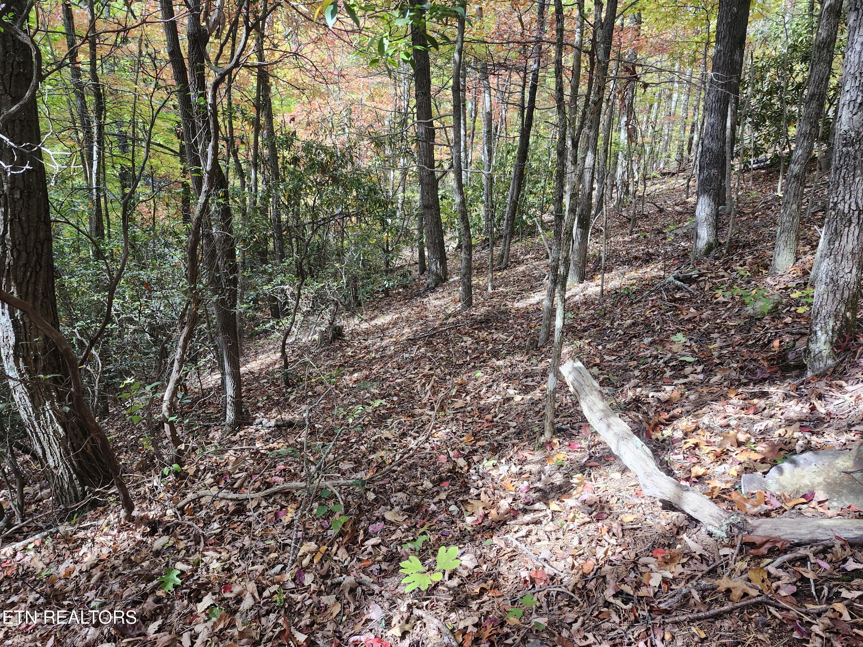 Lot 11 Bluff Mountain Road Sevierville TN 37876