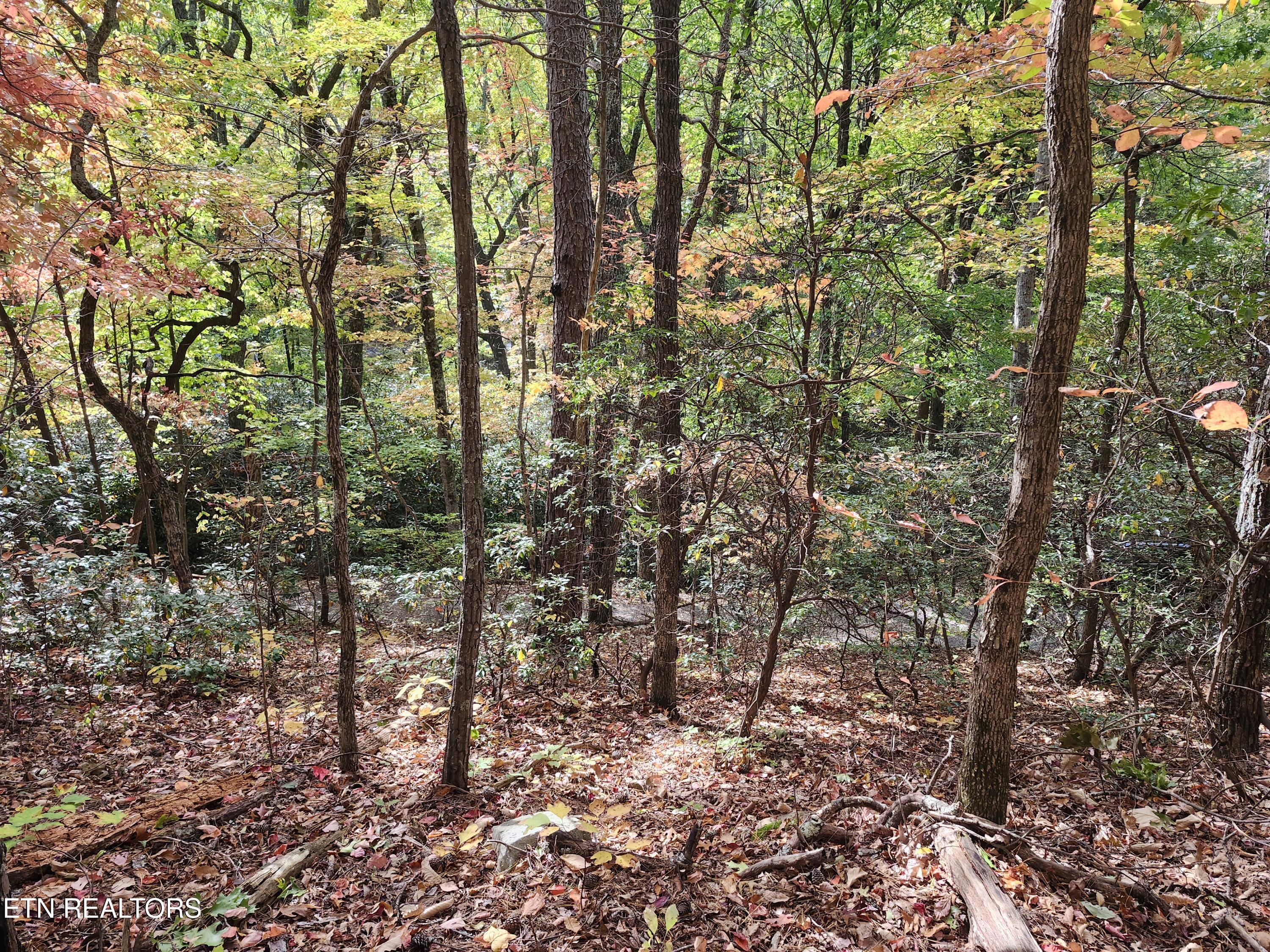 Lot 11 Bluff Mountain Road Sevierville TN 37876