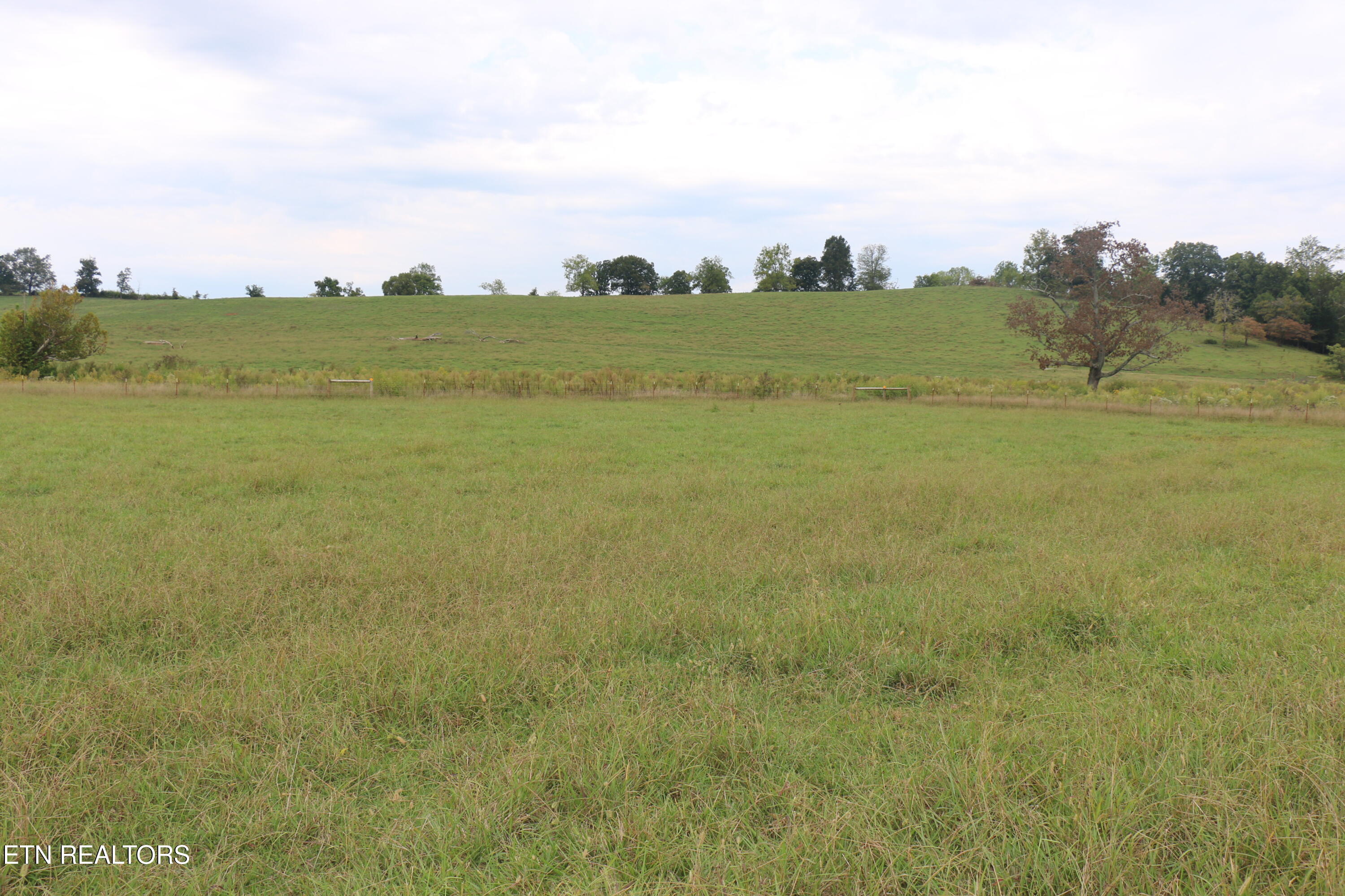 1163 County Road 461 Englewood TN 37329
