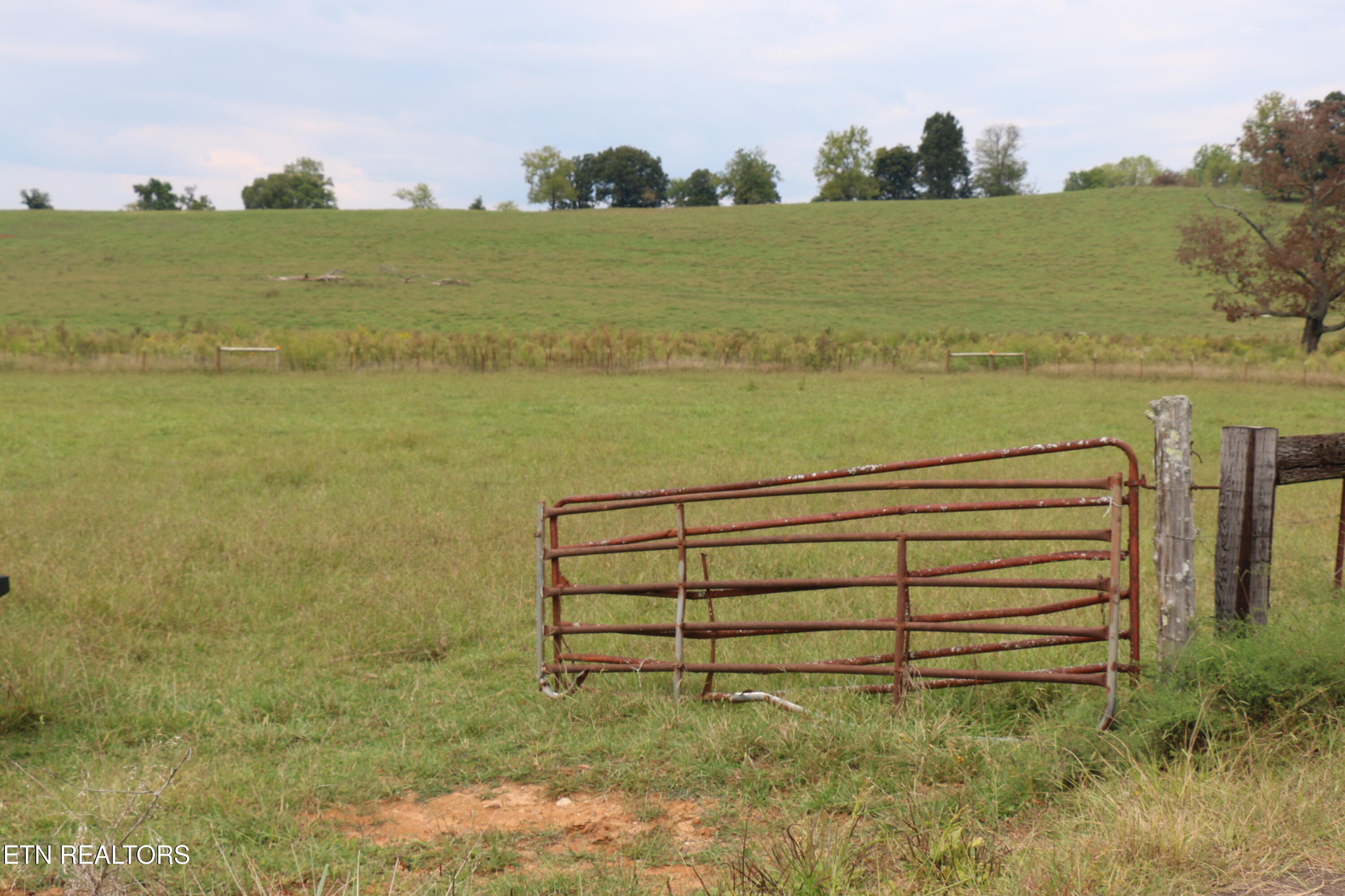 1163 County Road 461 Englewood TN 37329