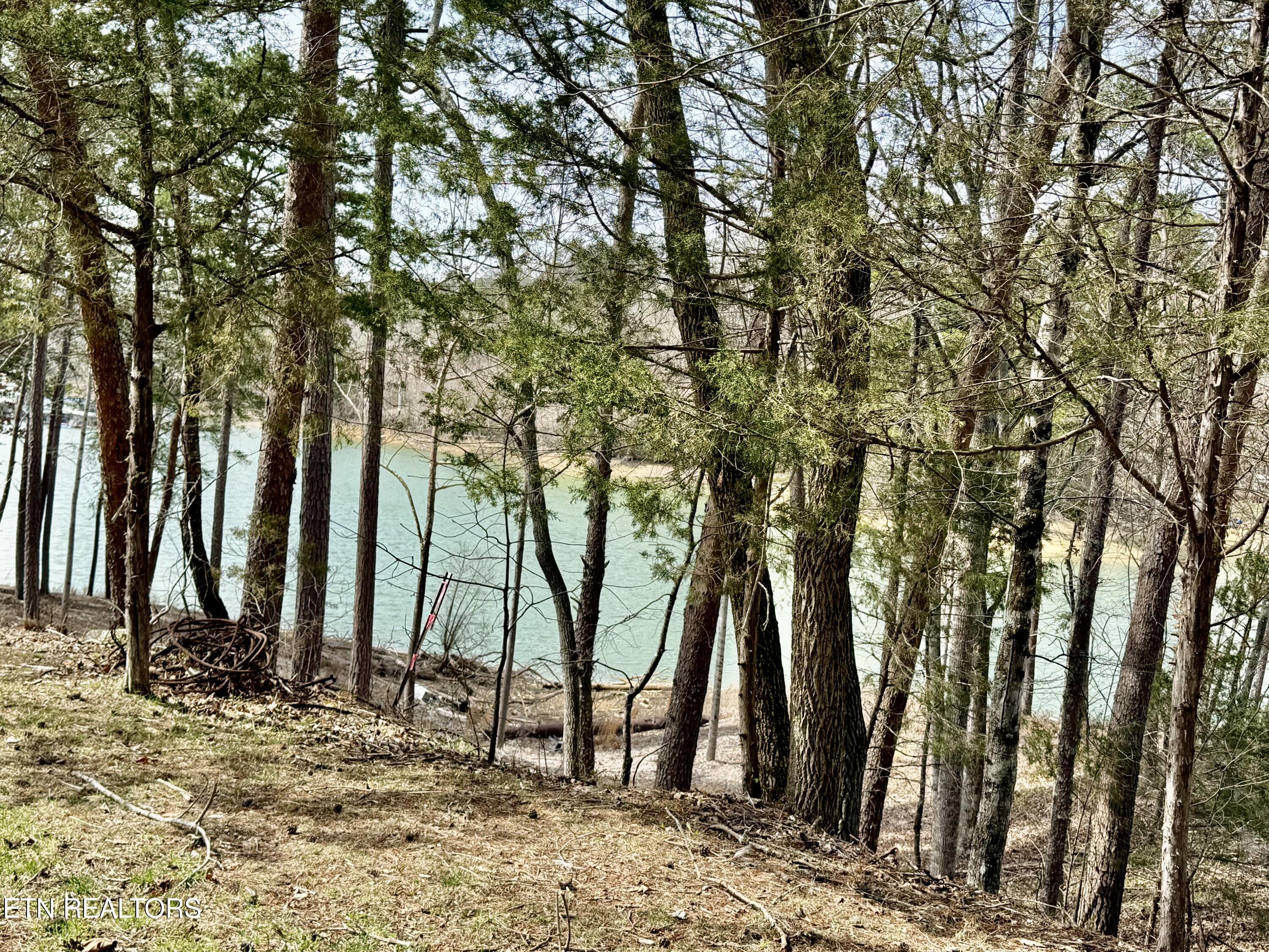 Summer Breeze Lane New Tazewell TN 37825