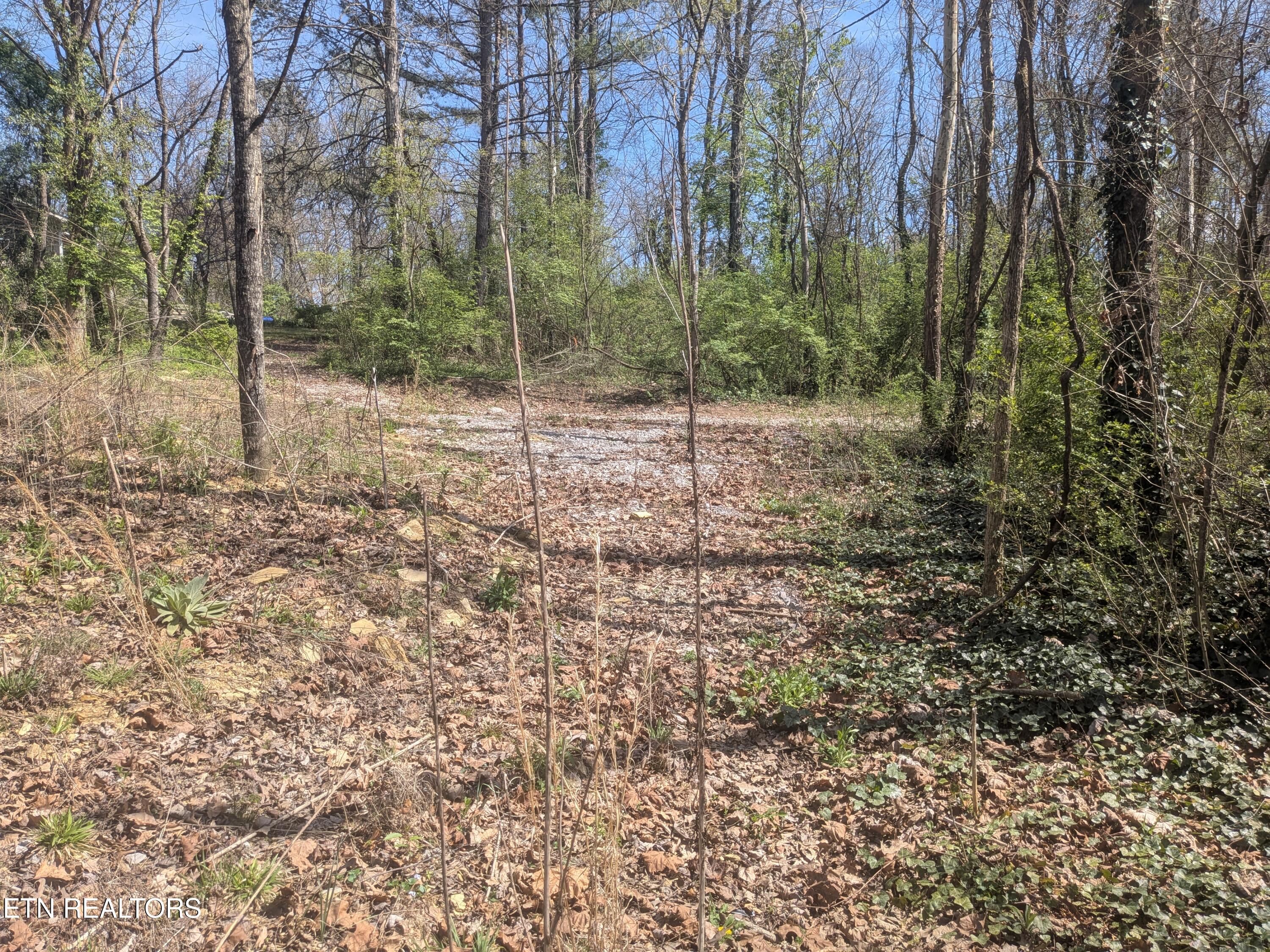 2147 Belt Road Knoxville TN 37920