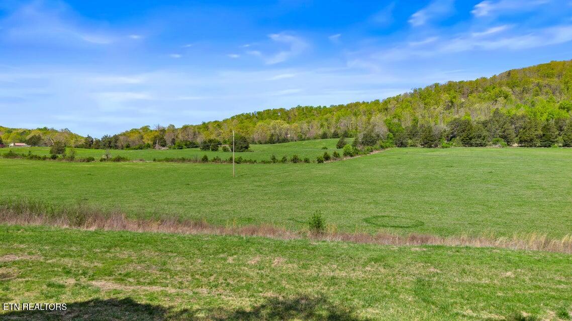00 Dog Town Road Ten Mile TN 37880