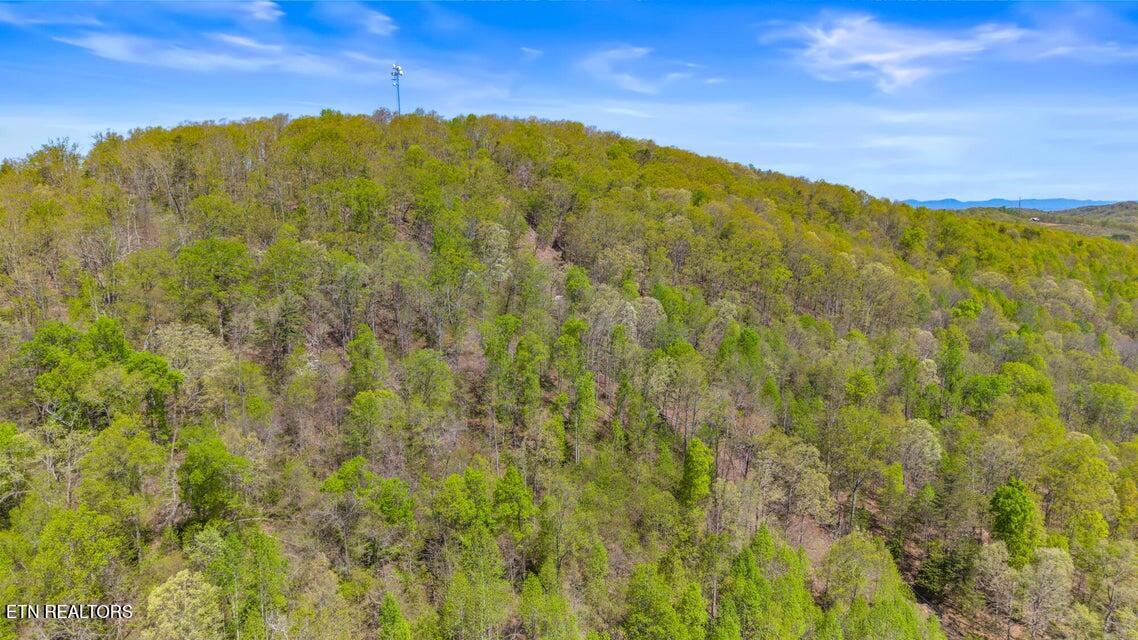 00 Dog Town Road Ten Mile TN 37880
