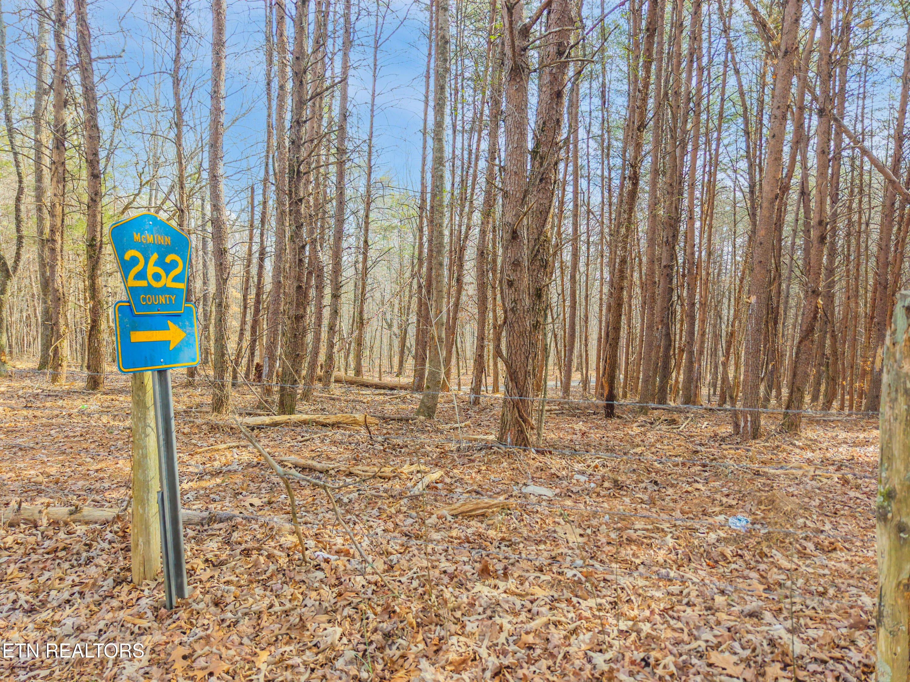 County Road 262 Lot 6 Niota TN 37826