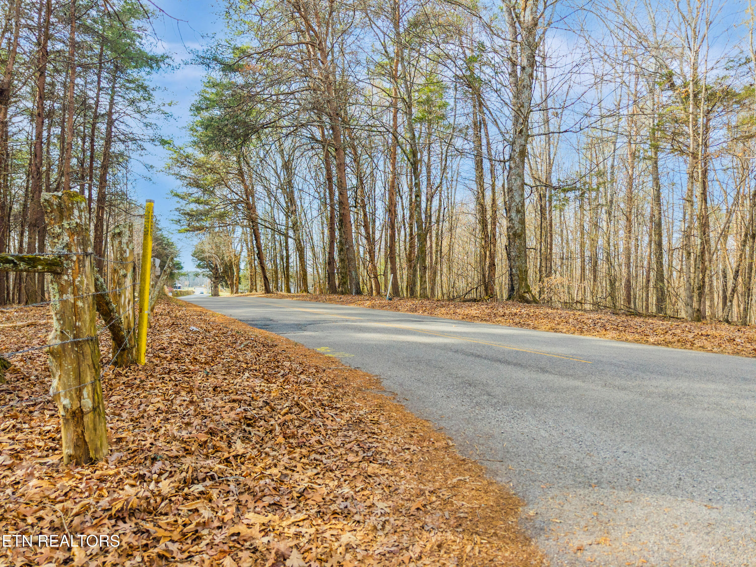 County Road 262 Lot 6 Niota TN 37826