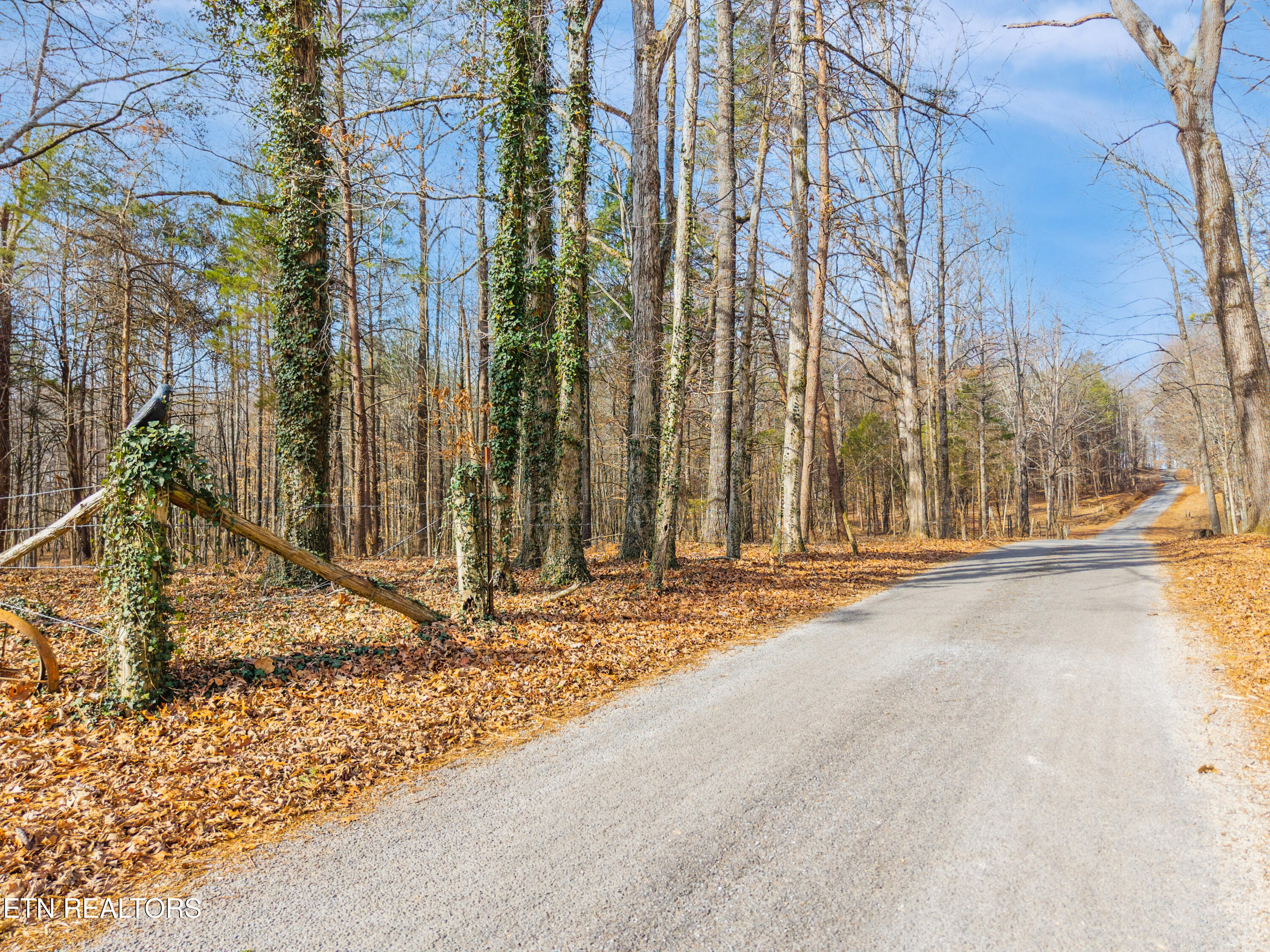 County Road 262 Lot 6 Niota TN 37826