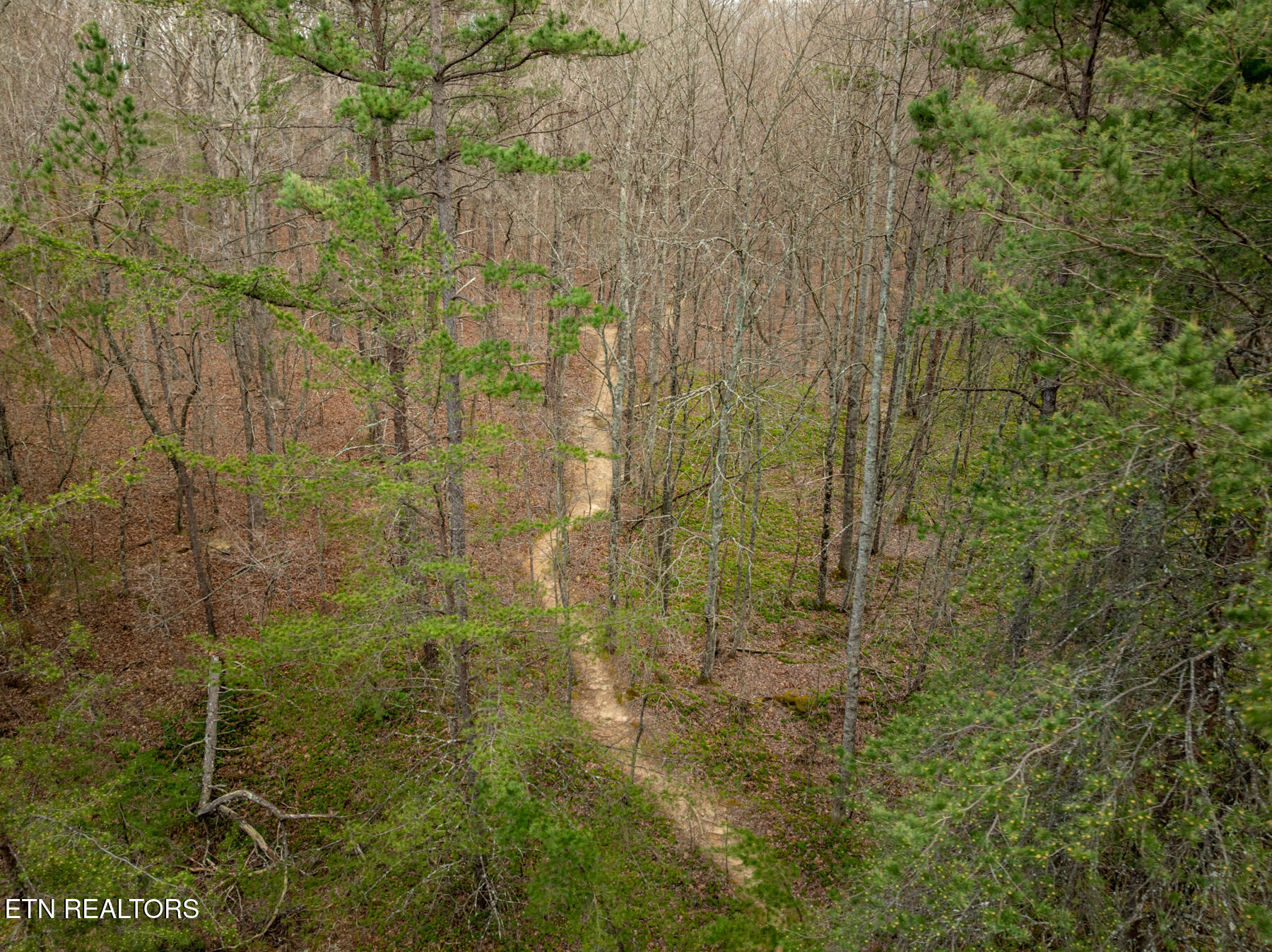 131 Hunterwood Lane Crossville TN 38558