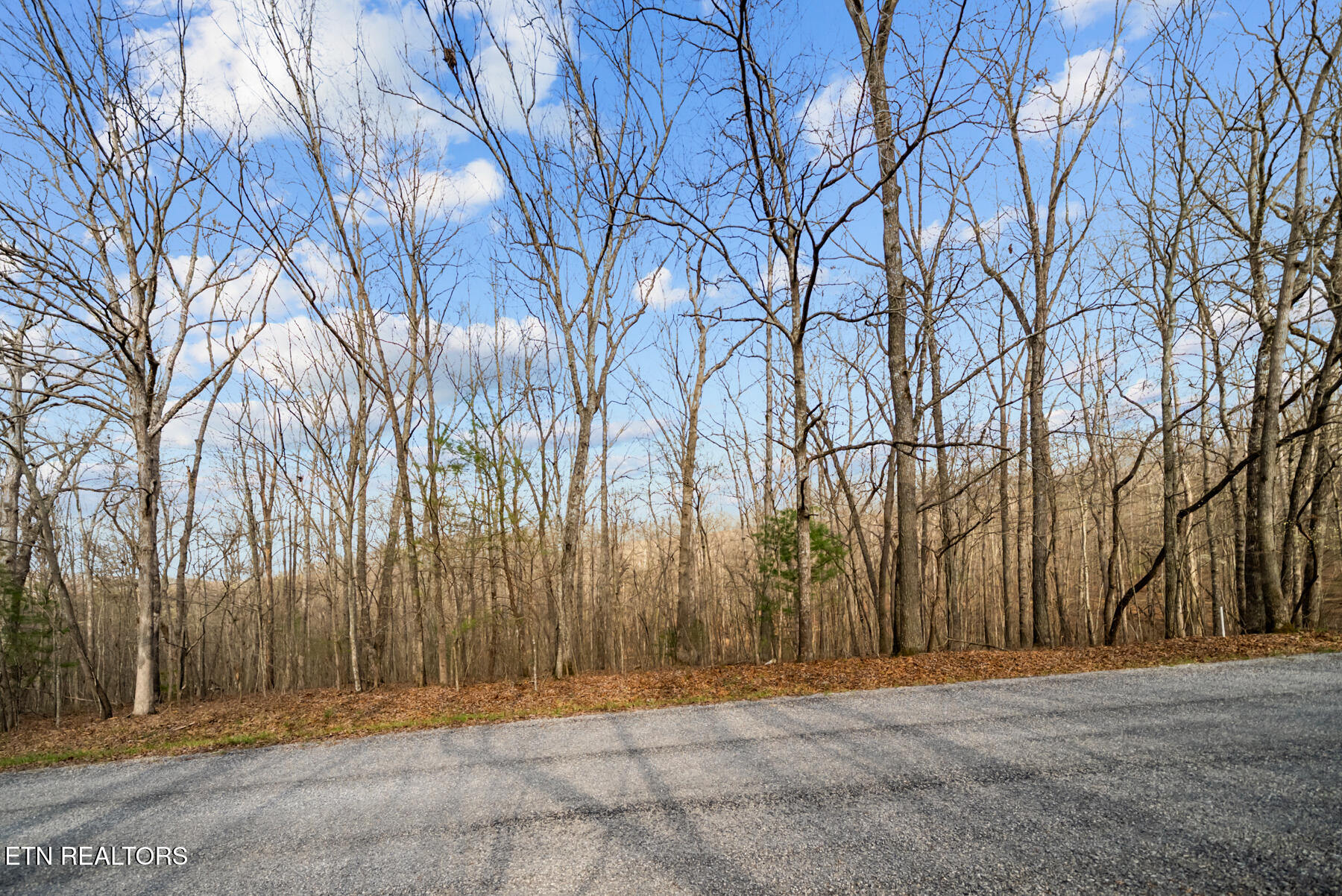 131 Hunterwood Lane Crossville TN 38558