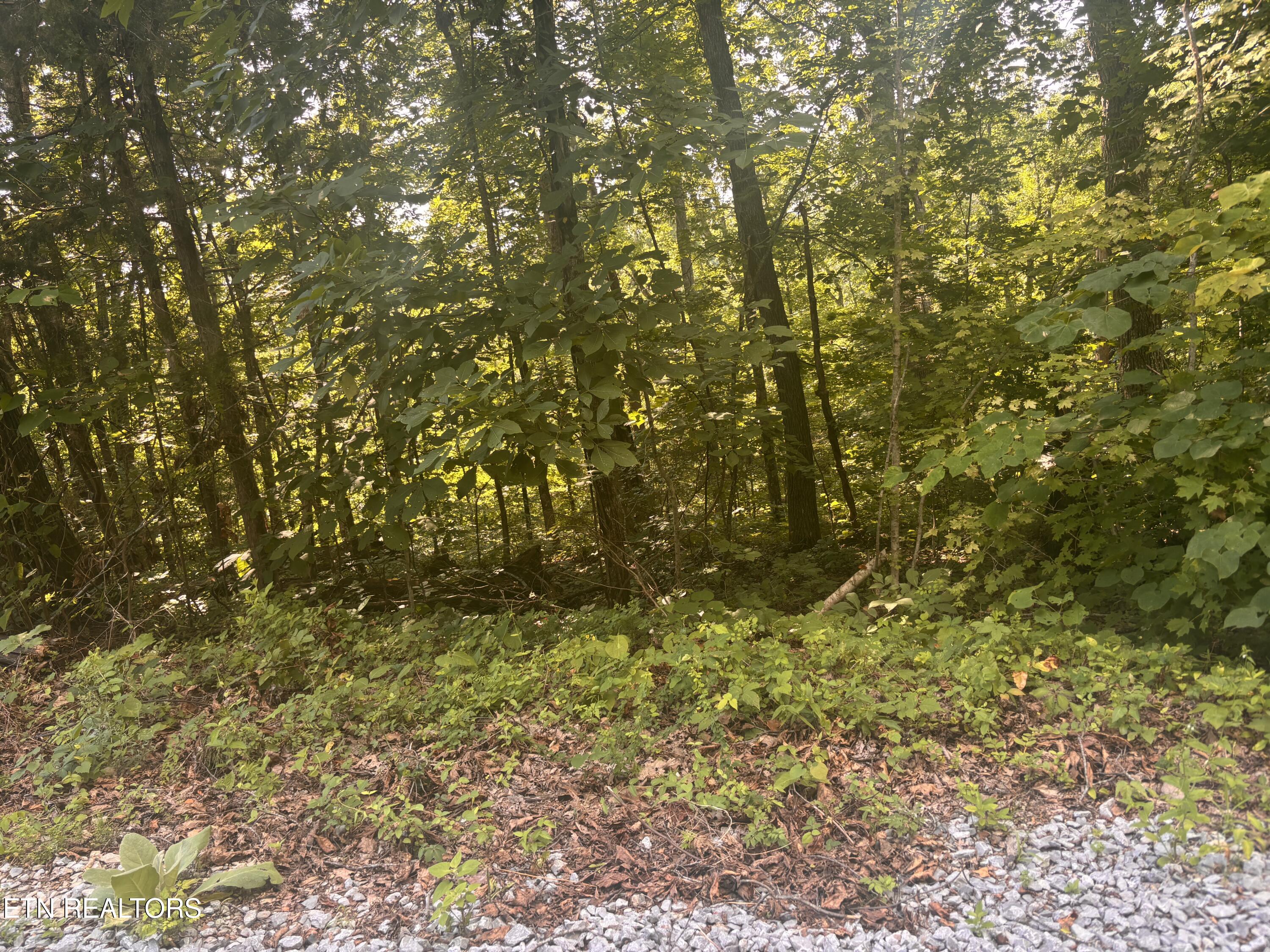 0 Kenny Fox Way Sevierville TN 37876