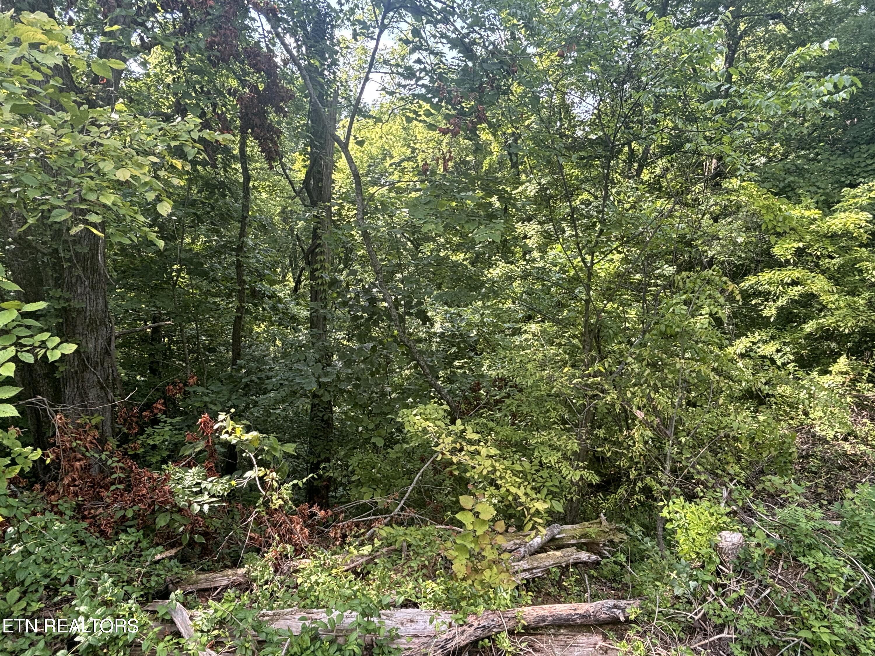 0 Kenny Fox Way Sevierville TN 37876