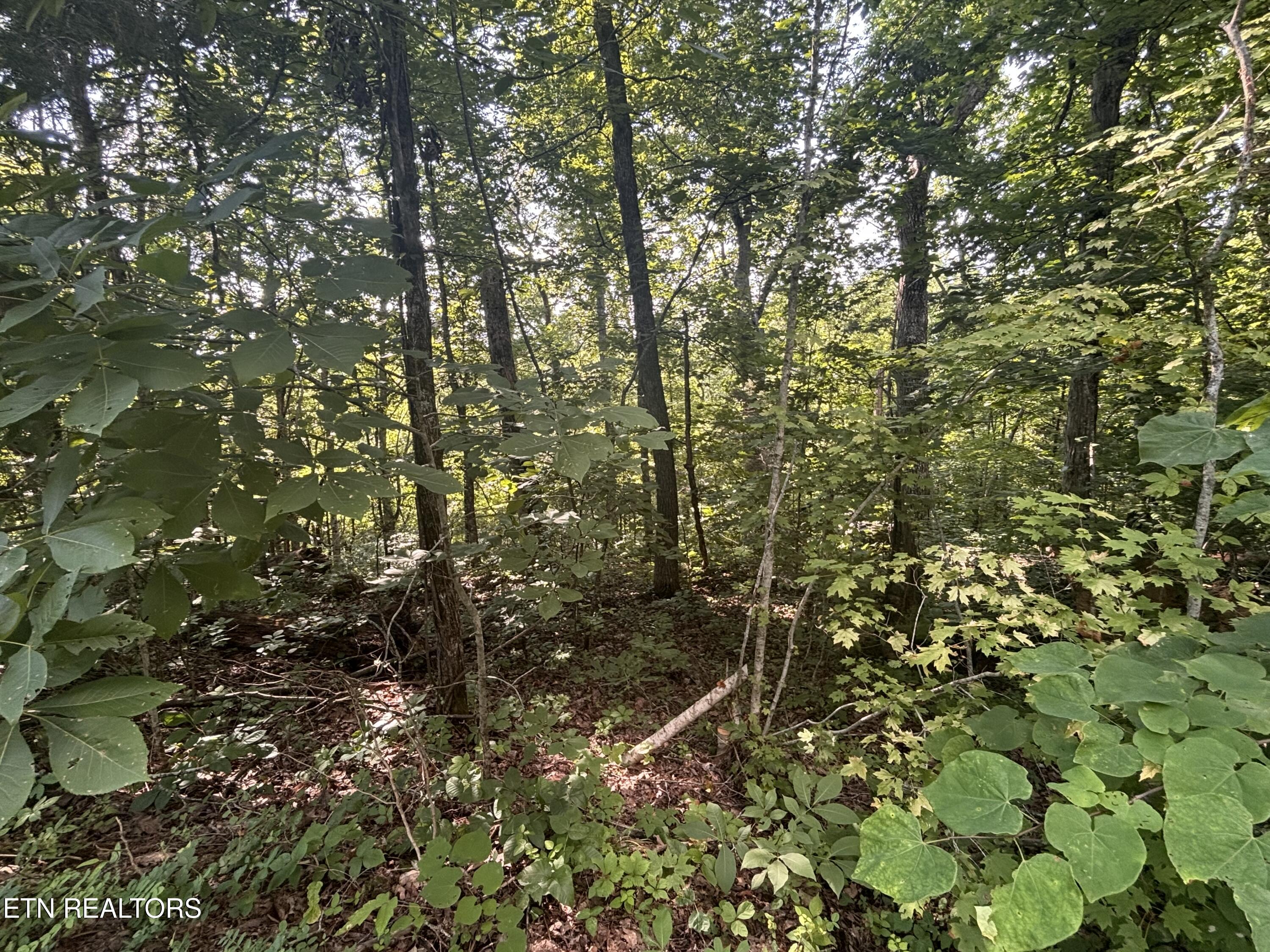 0 Kenny Fox Way Sevierville TN 37876