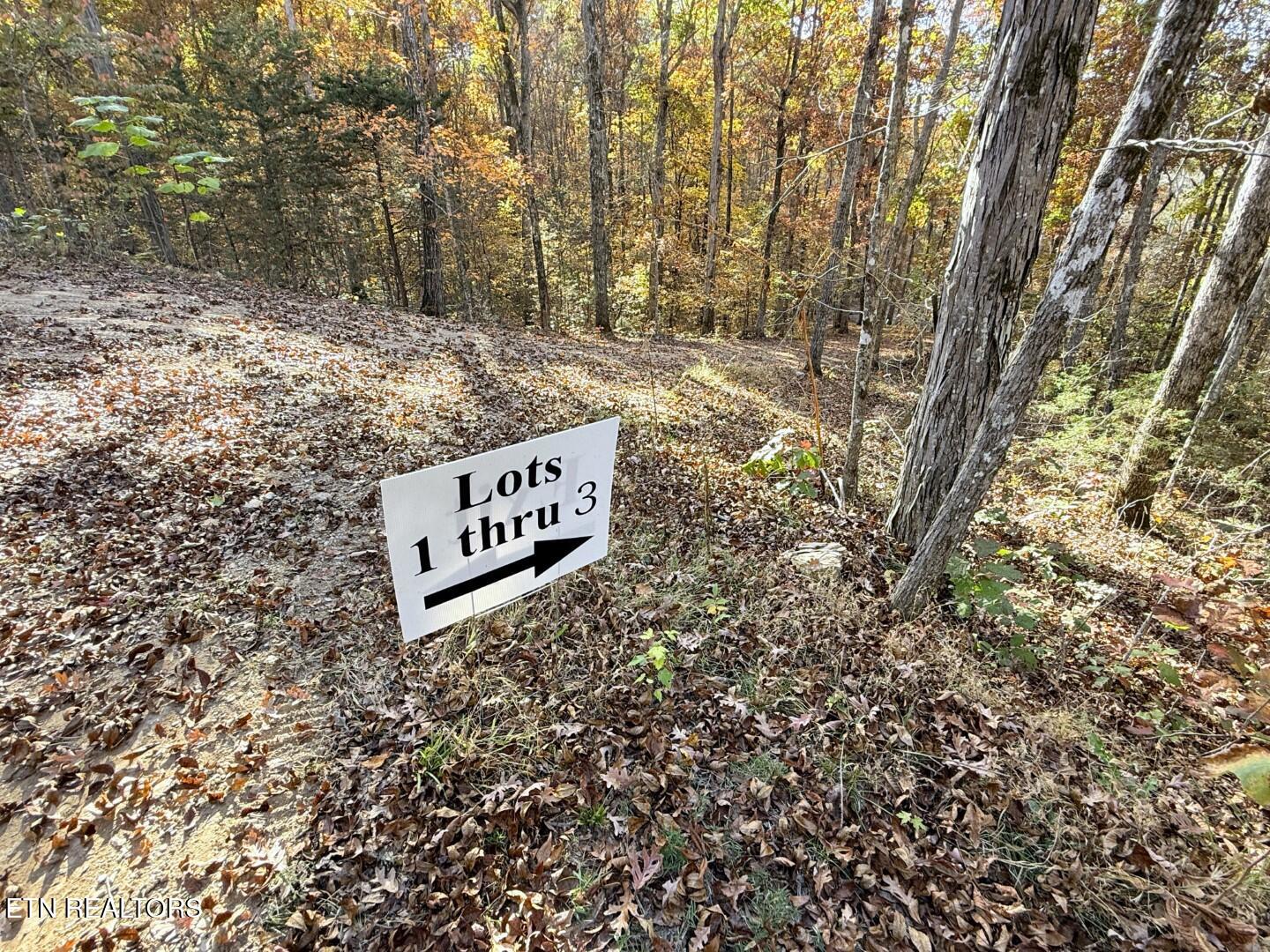 Tracts 1-3 Topaz Way Parrottsville TN 37843