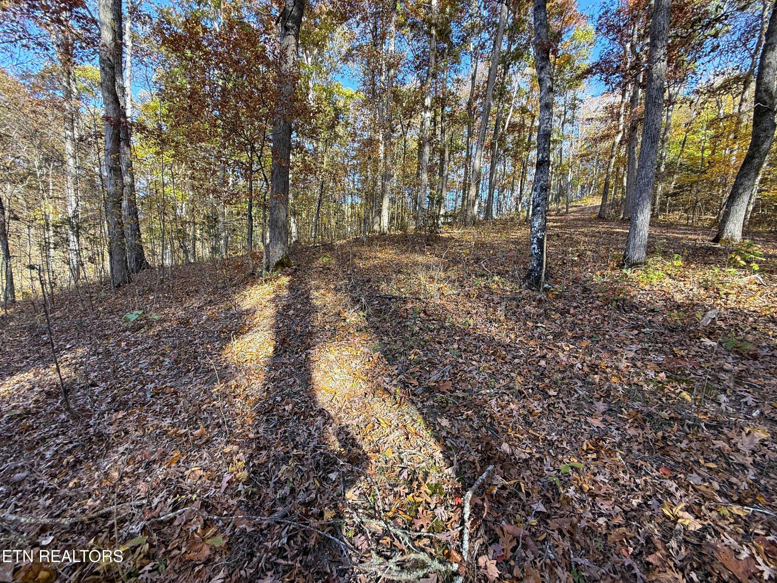 Tracts 1-3 Topaz Way Parrottsville TN 37843