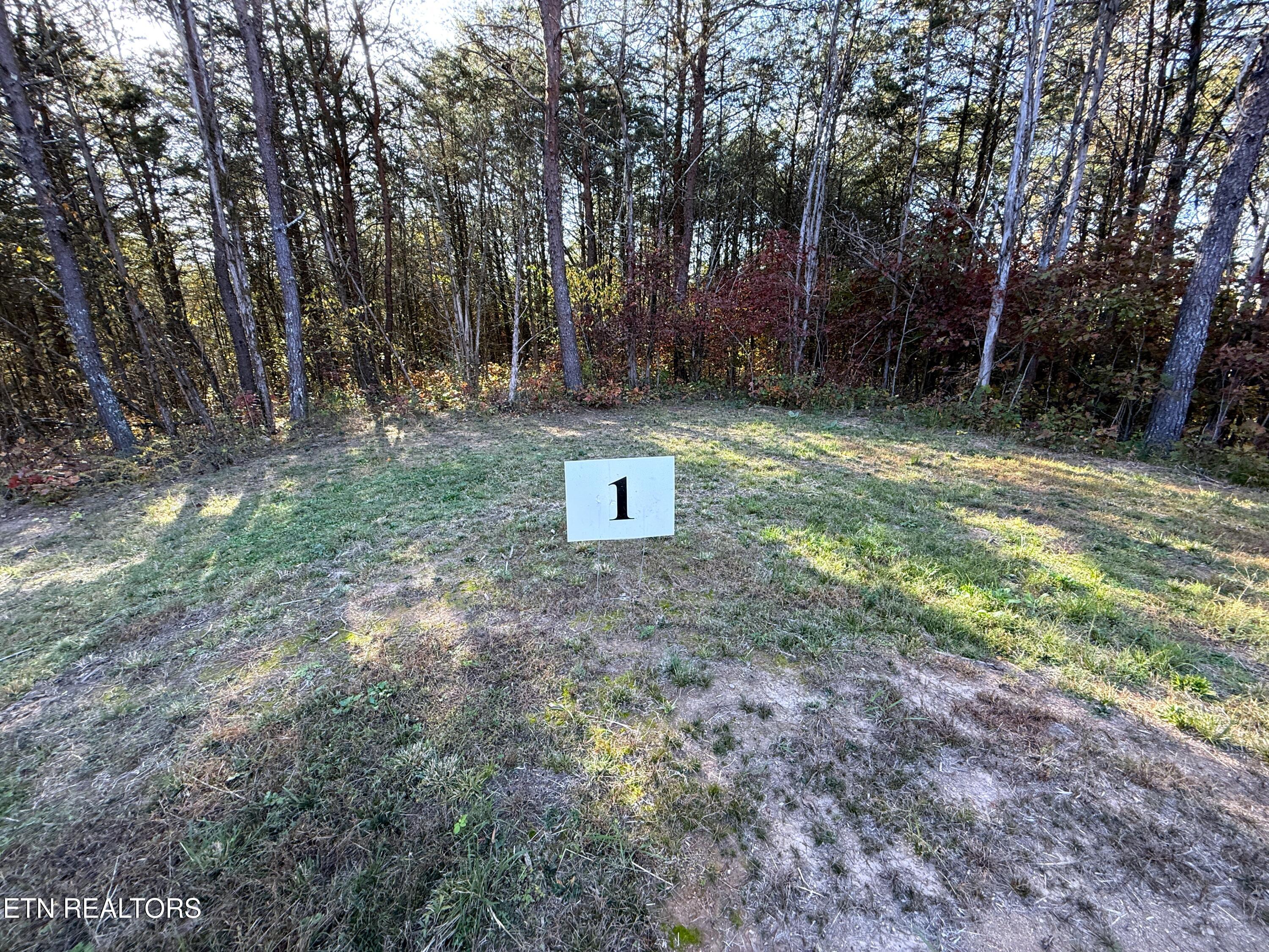 Tracts 1-3 Topaz Way Parrottsville TN 37843