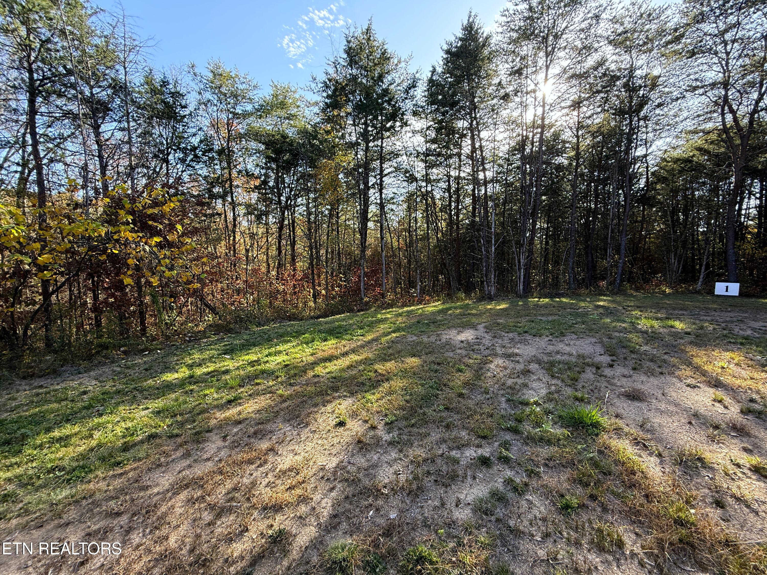 Tracts 1-3 Topaz Way Parrottsville TN 37843