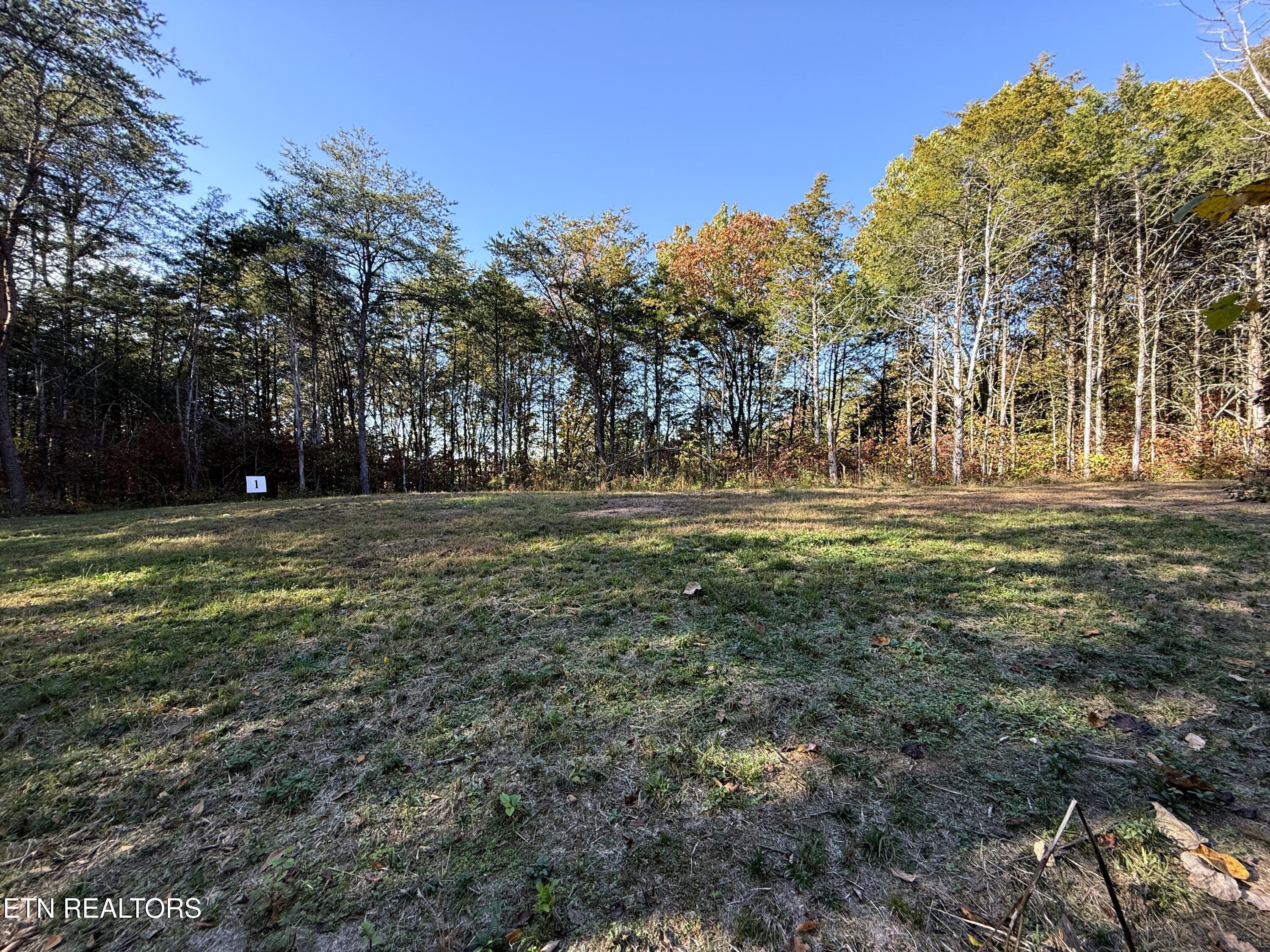 Tracts 1-3 Topaz Way Parrottsville TN 37843