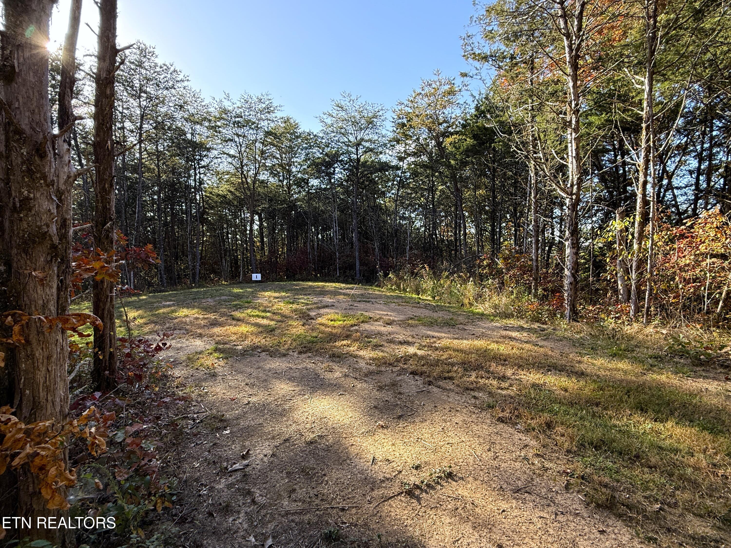 Tracts 1-3 Topaz Way Parrottsville TN 37843