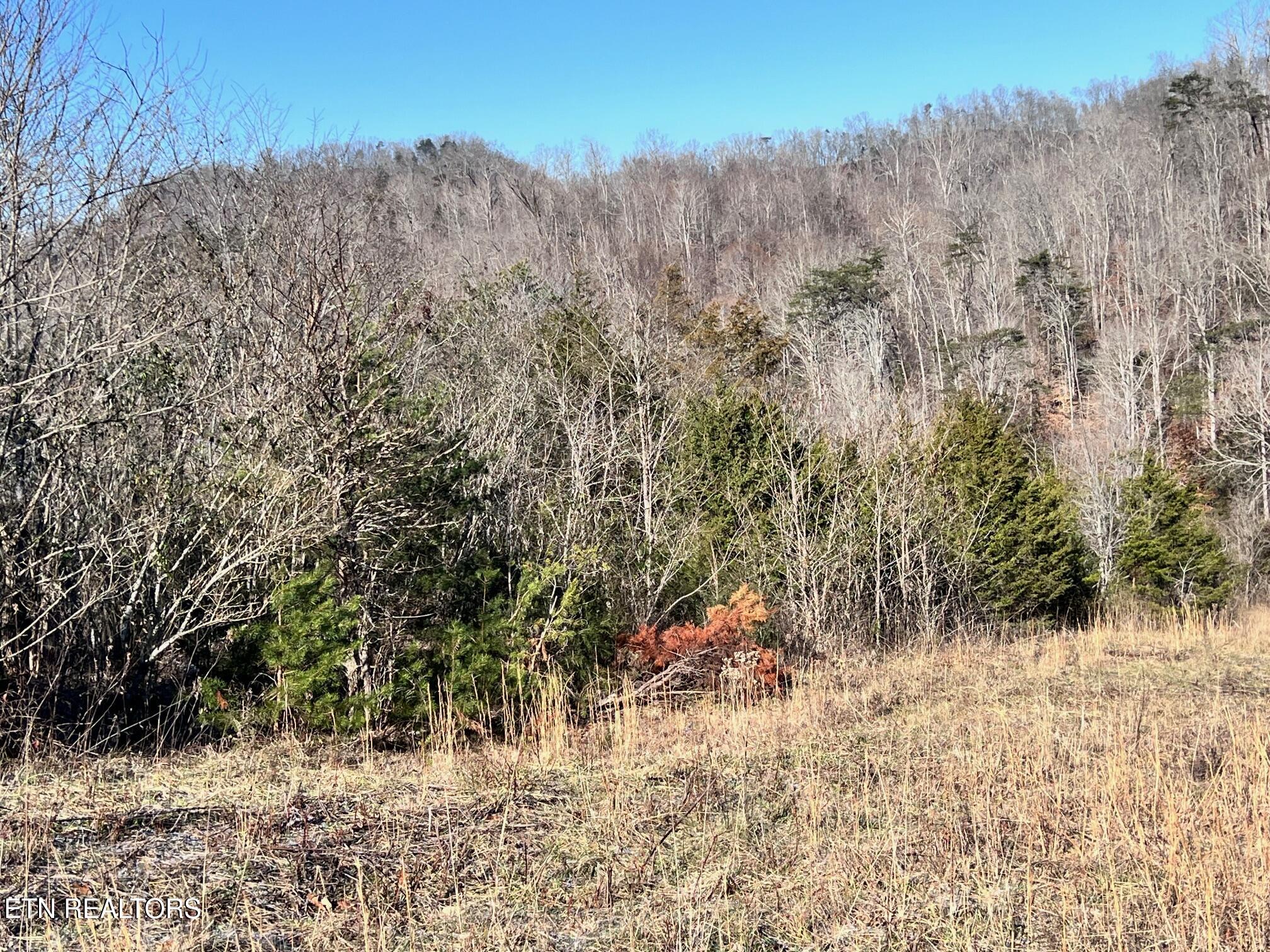 1581 Lower Caney Valley Road Tazewell TN 37879