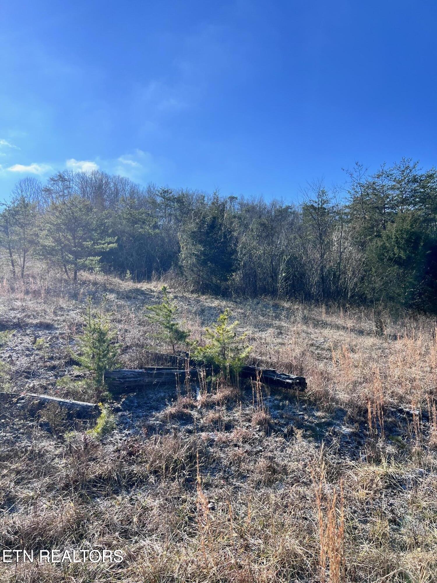 1581 Lower Caney Valley Road Tazewell TN 37879