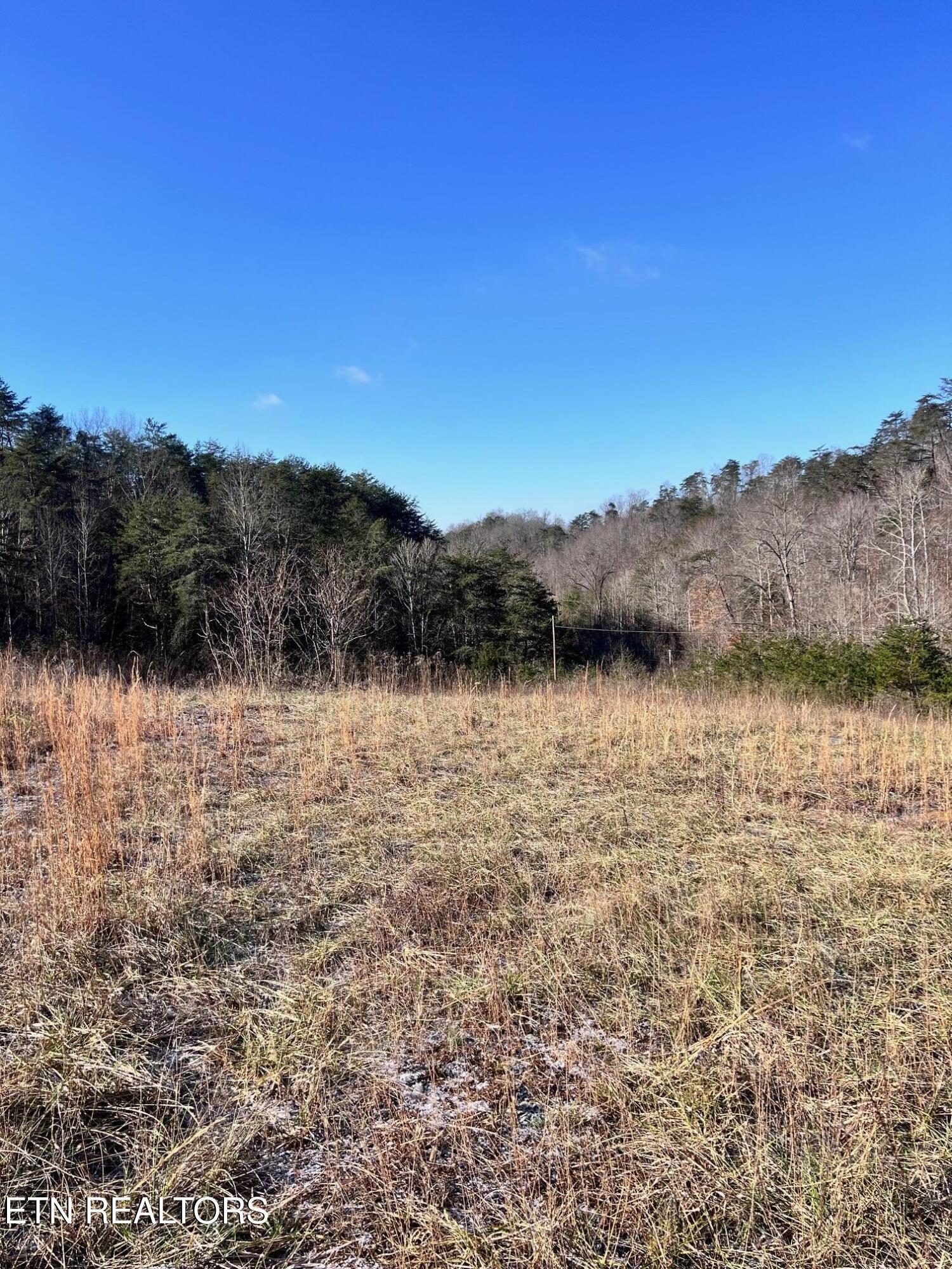1581 Lower Caney Valley Road Tazewell TN 37879