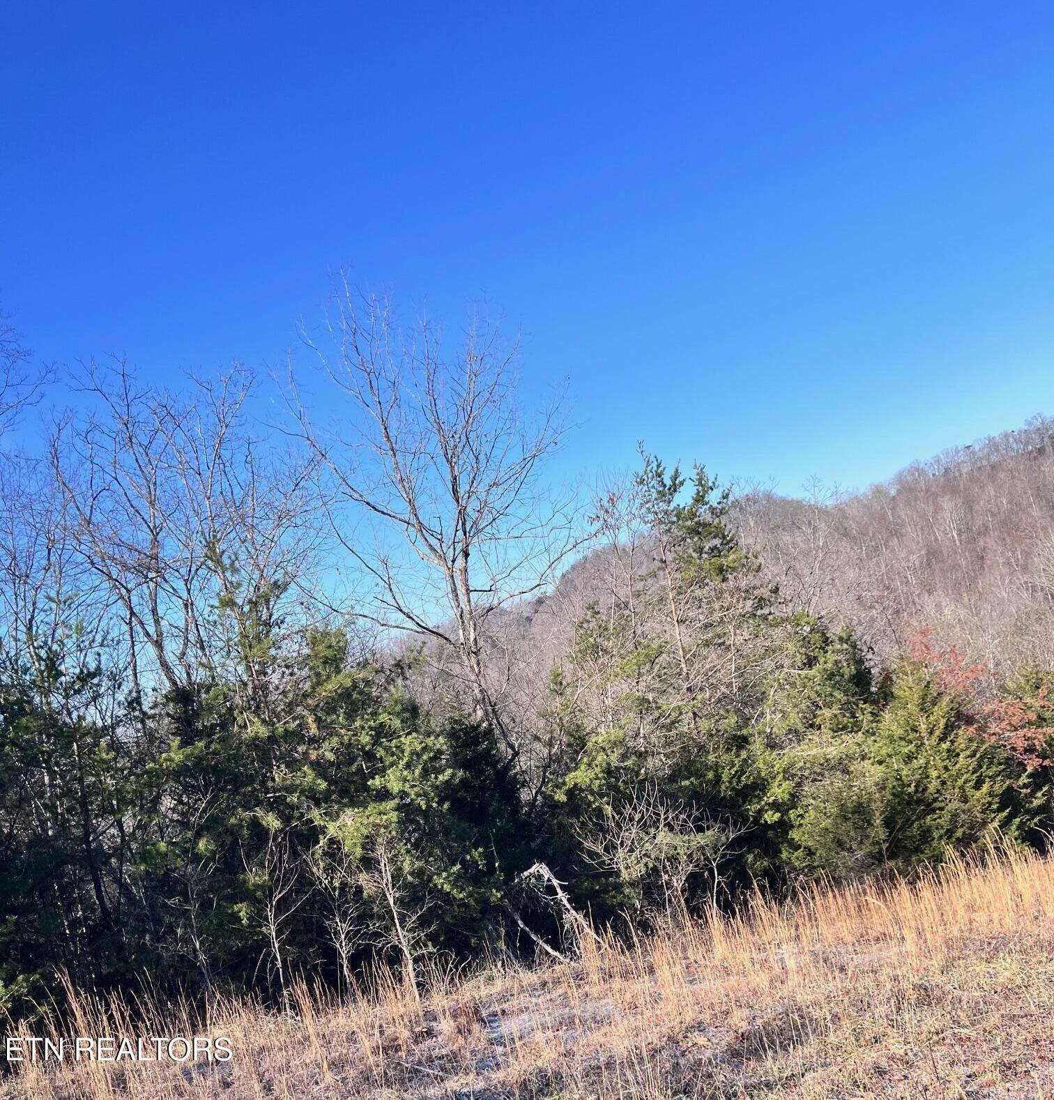 1581 Lower Caney Valley Road Tazewell TN 37879