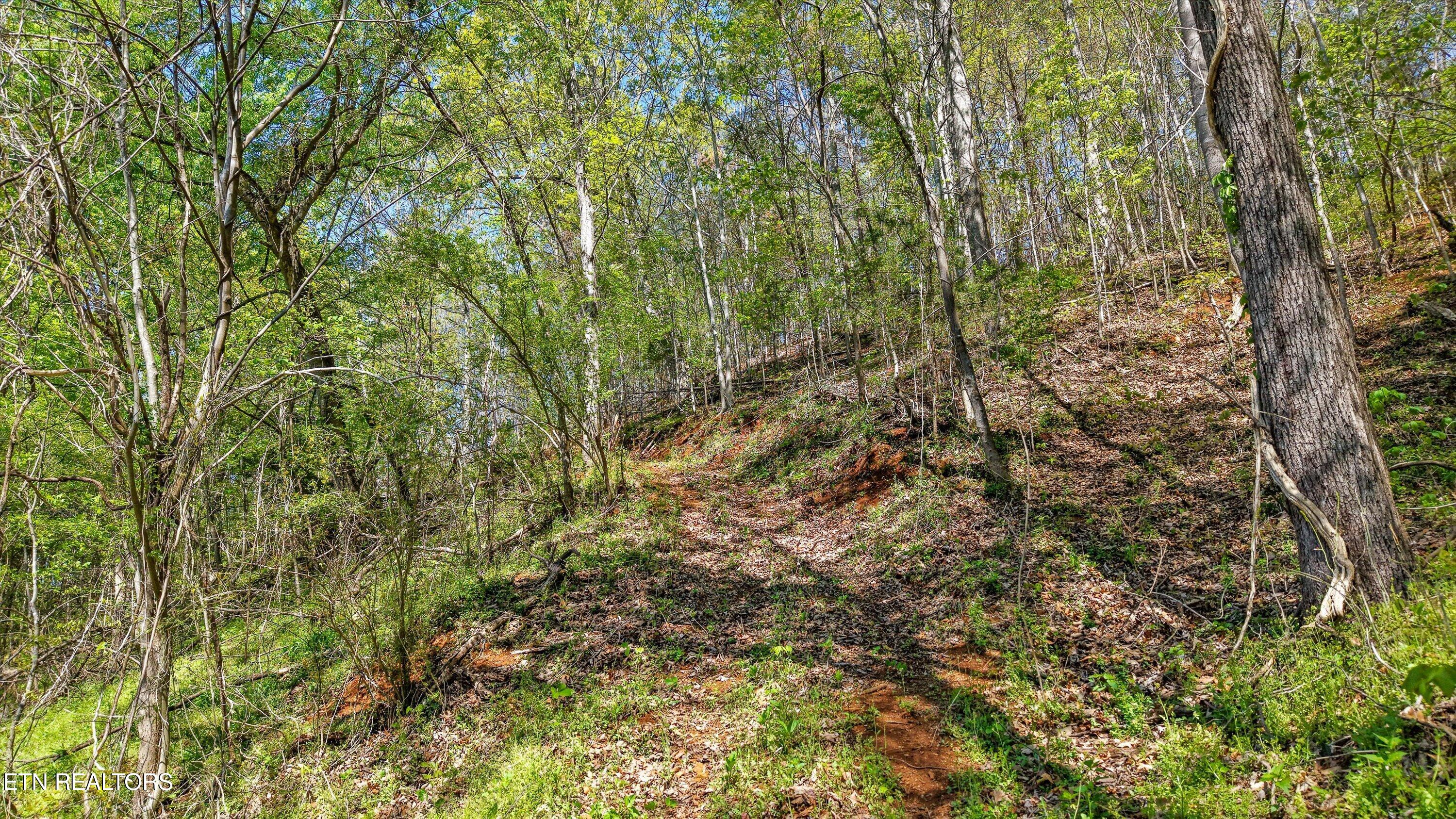0 New Highway 68 Madisonville TN 37354