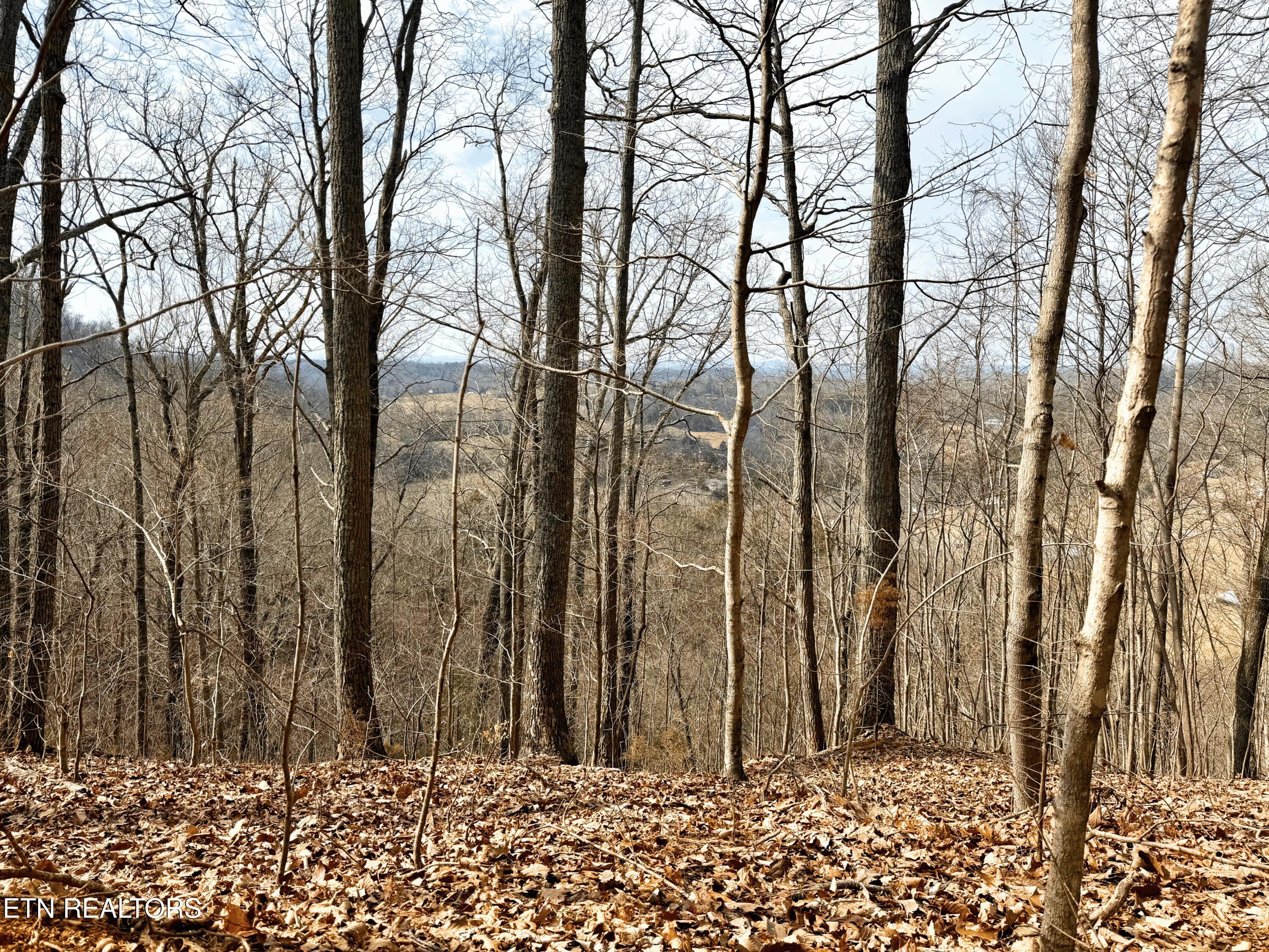 0 New Highway 68 Madisonville TN 37354