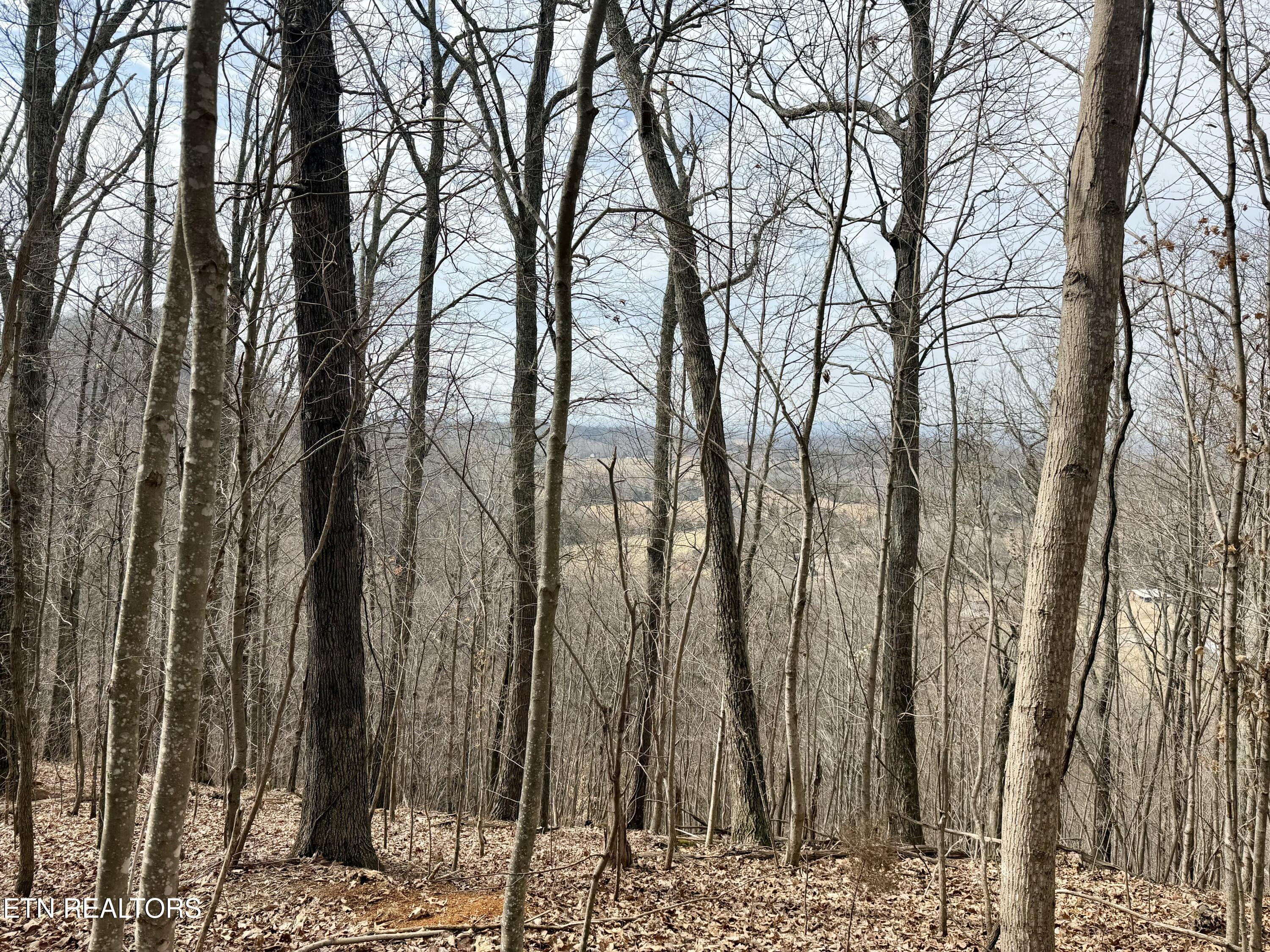 0 New Highway 68 Madisonville TN 37354