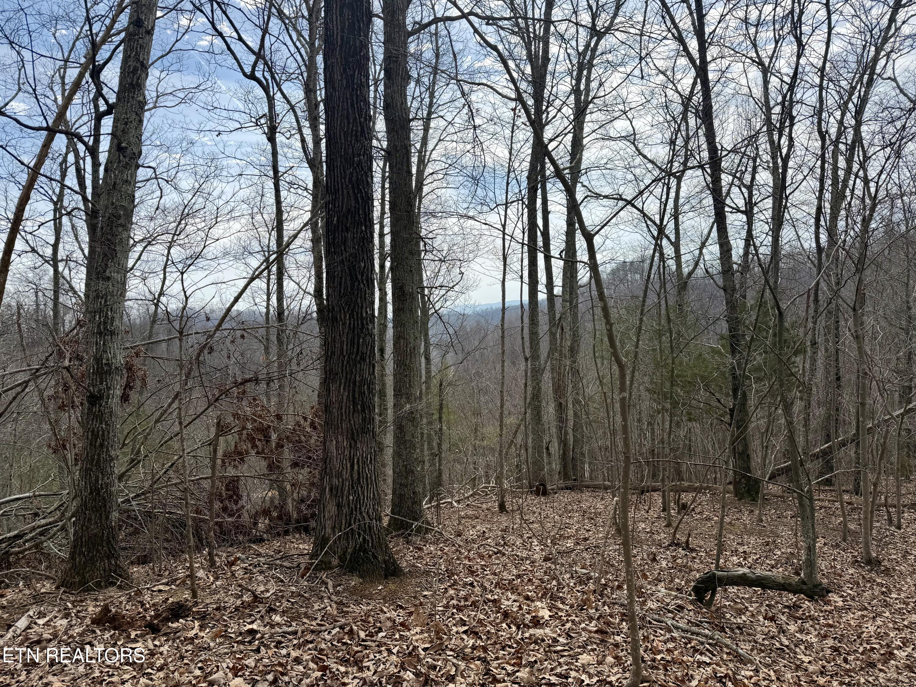 0 New Highway 68 Madisonville TN 37354