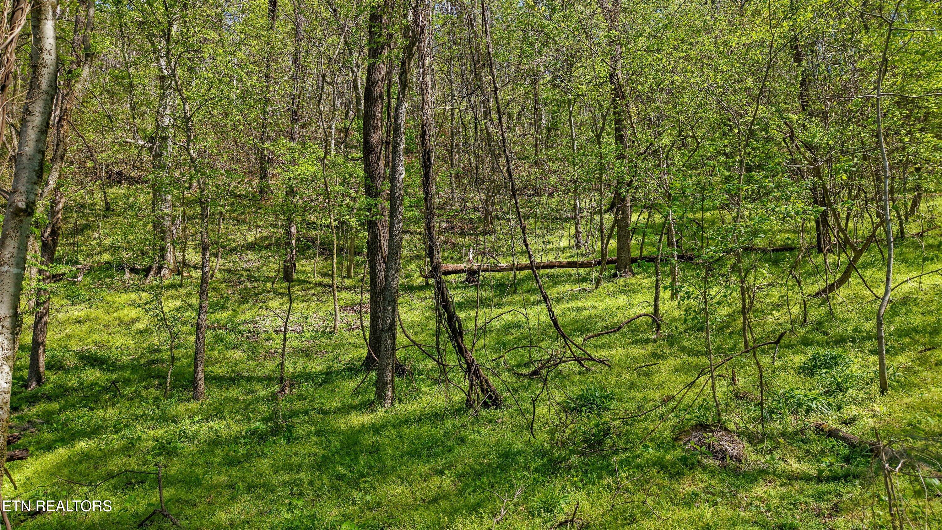 0 New Highway 68 Madisonville TN 37354