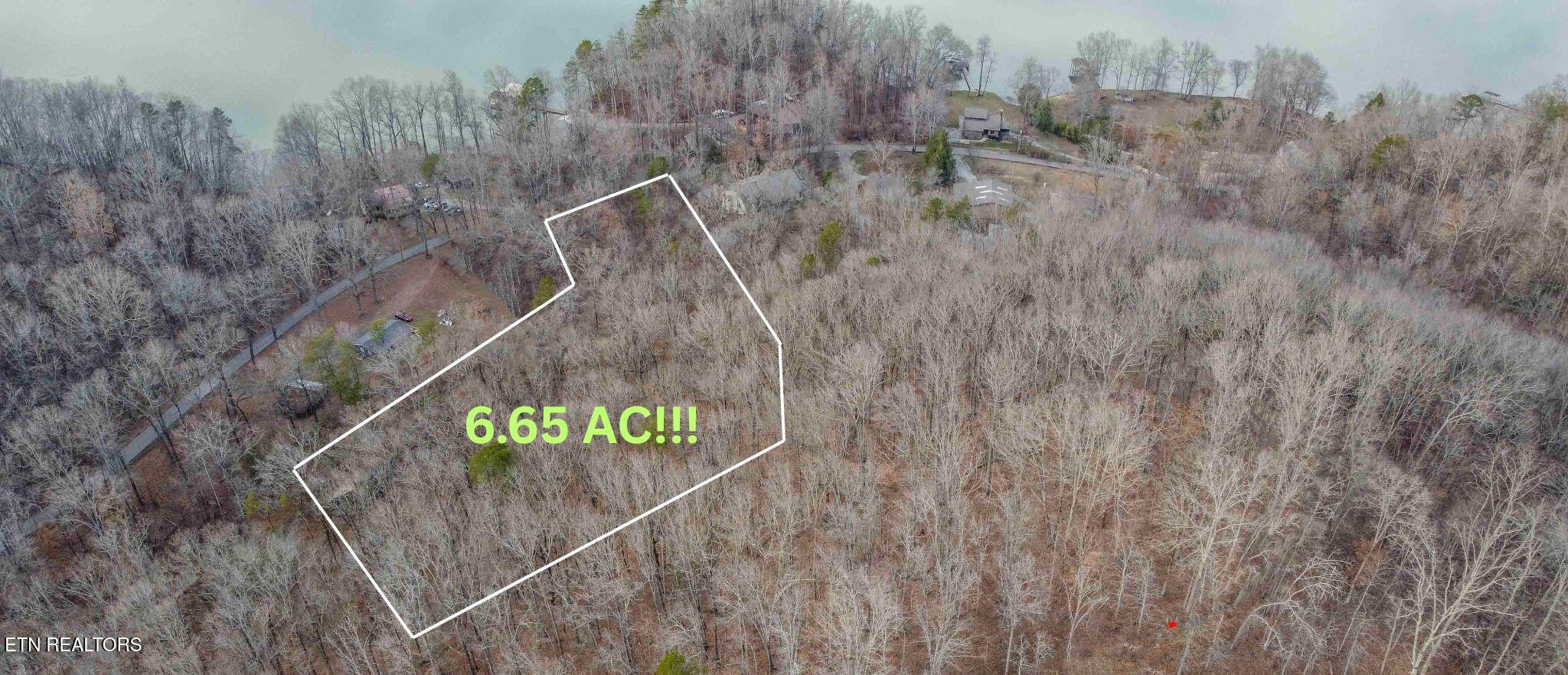 Eagle Point Drive Rockwood TN 37854