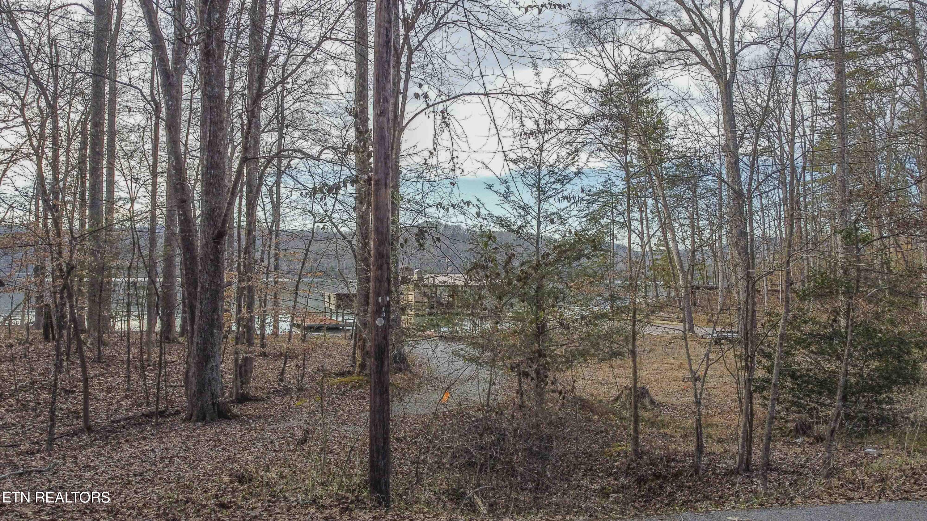 Eagle Point Drive Rockwood TN 37854