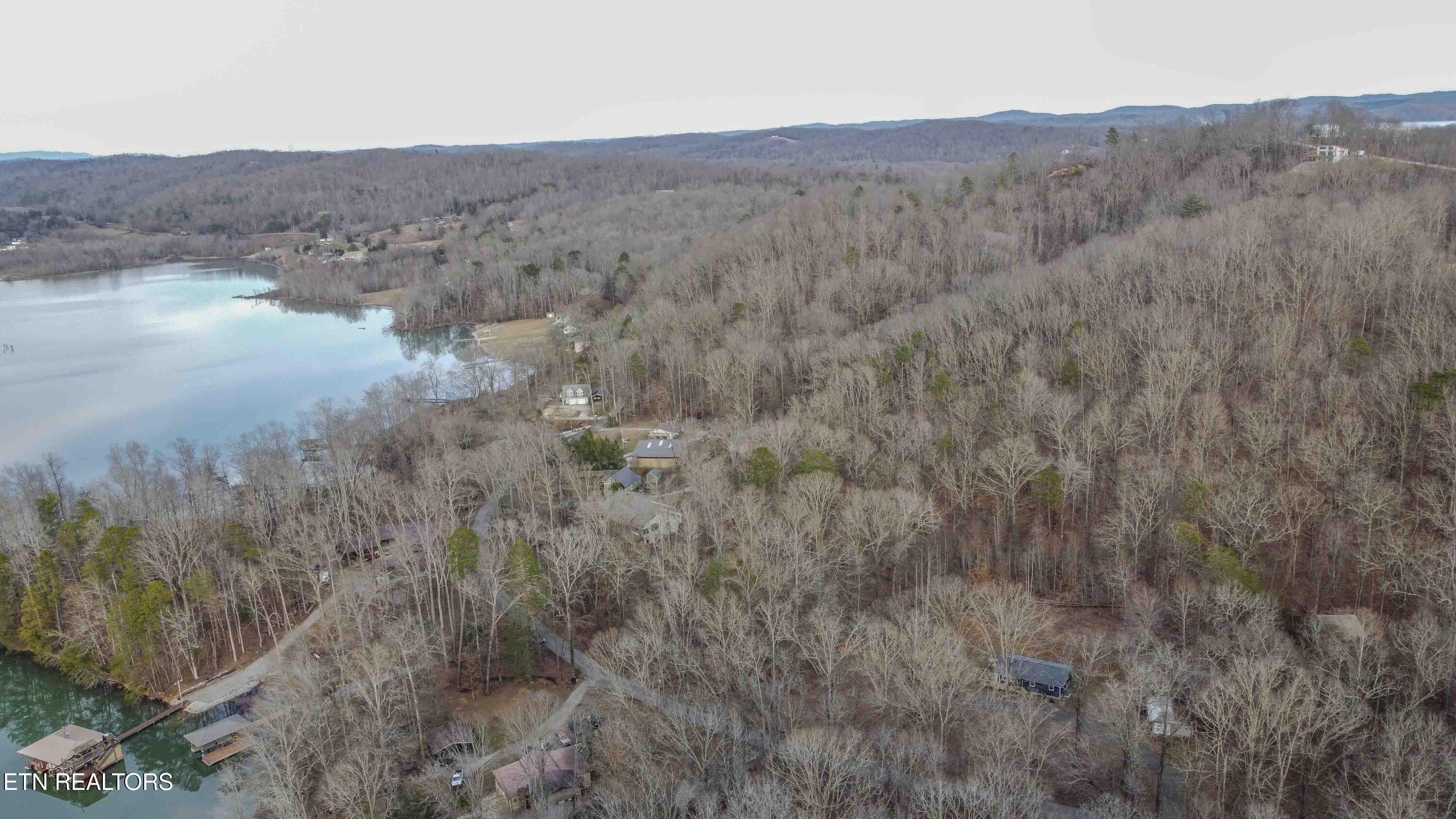 Eagle Point Drive Rockwood TN 37854