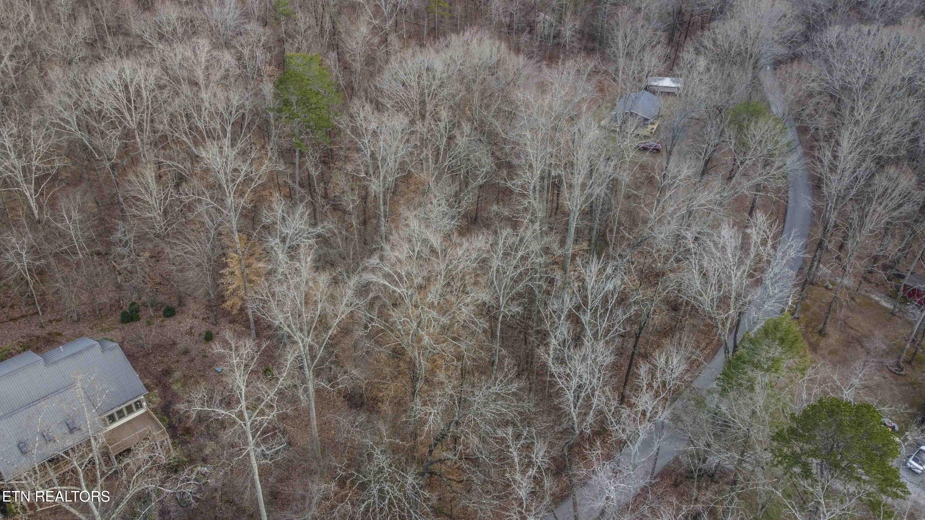 Eagle Point Drive Rockwood TN 37854