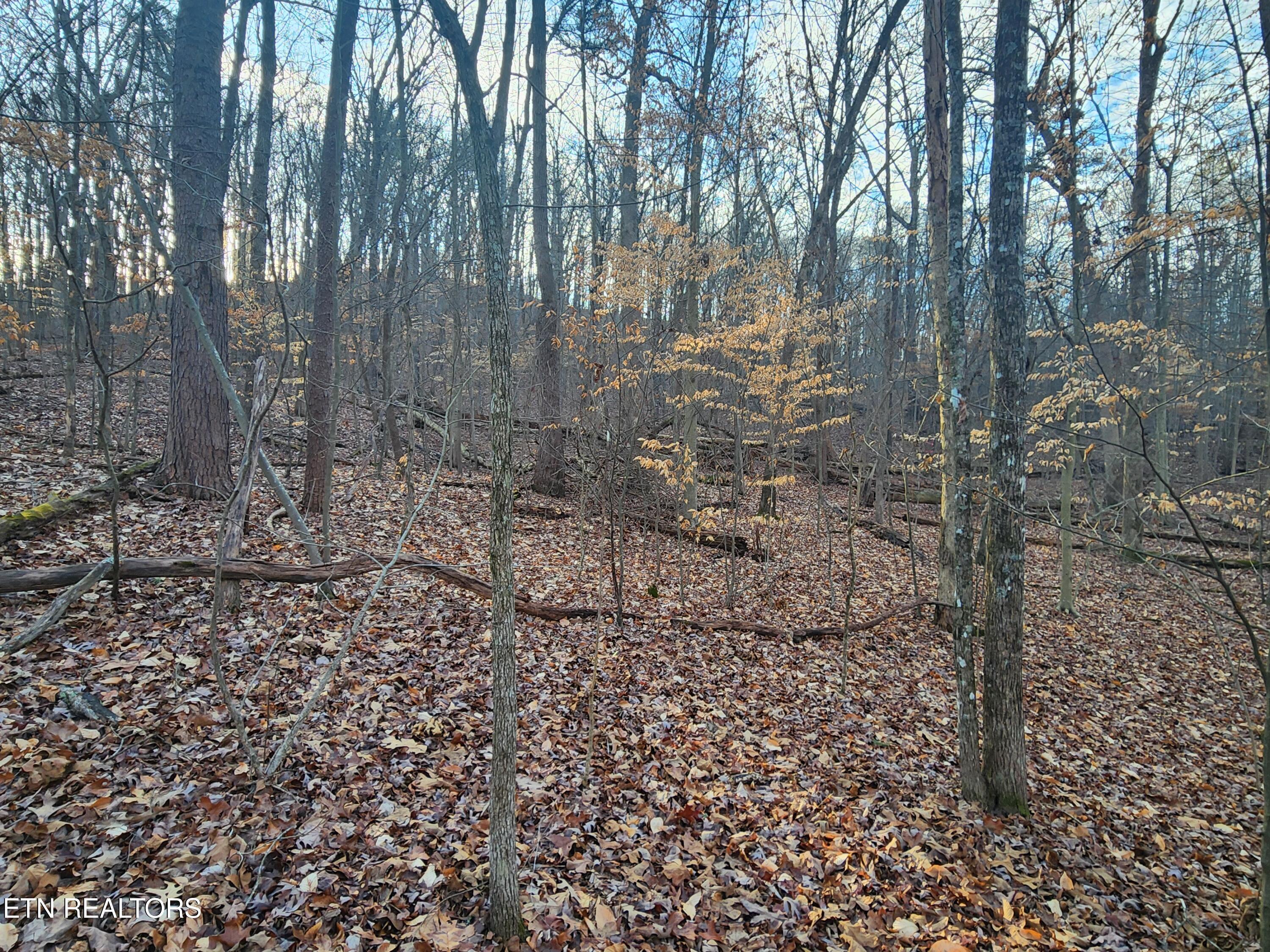 Eagle Point Drive Rockwood TN 37854