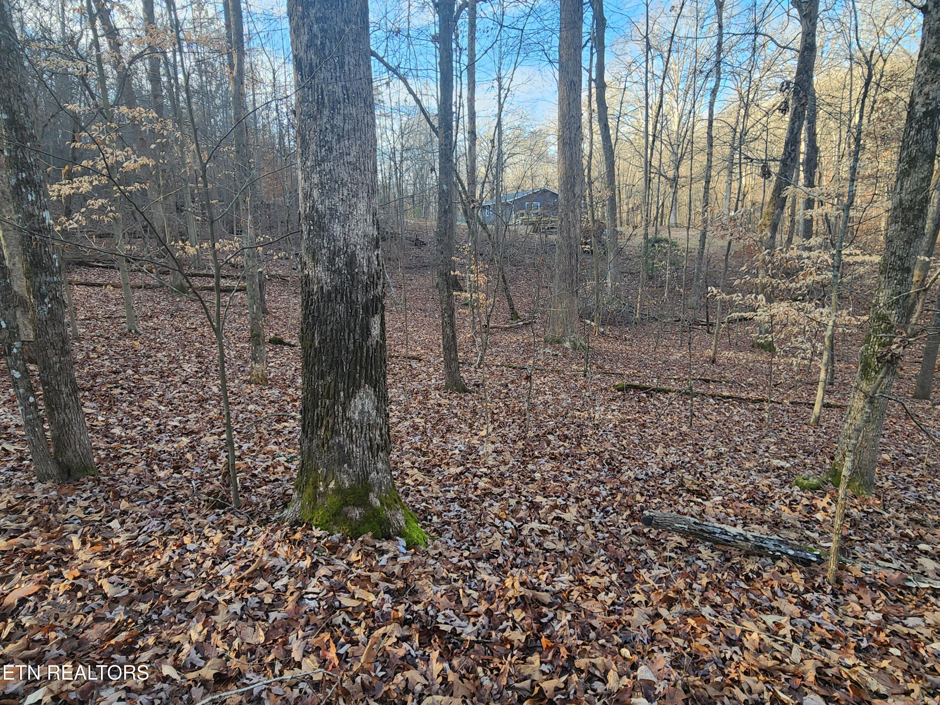 Eagle Point Drive Rockwood TN 37854