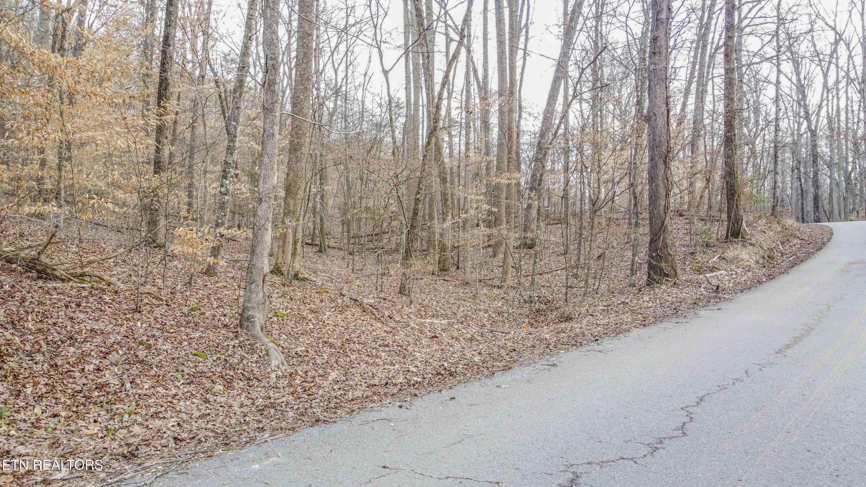 Eagle Point Drive Rockwood TN 37854