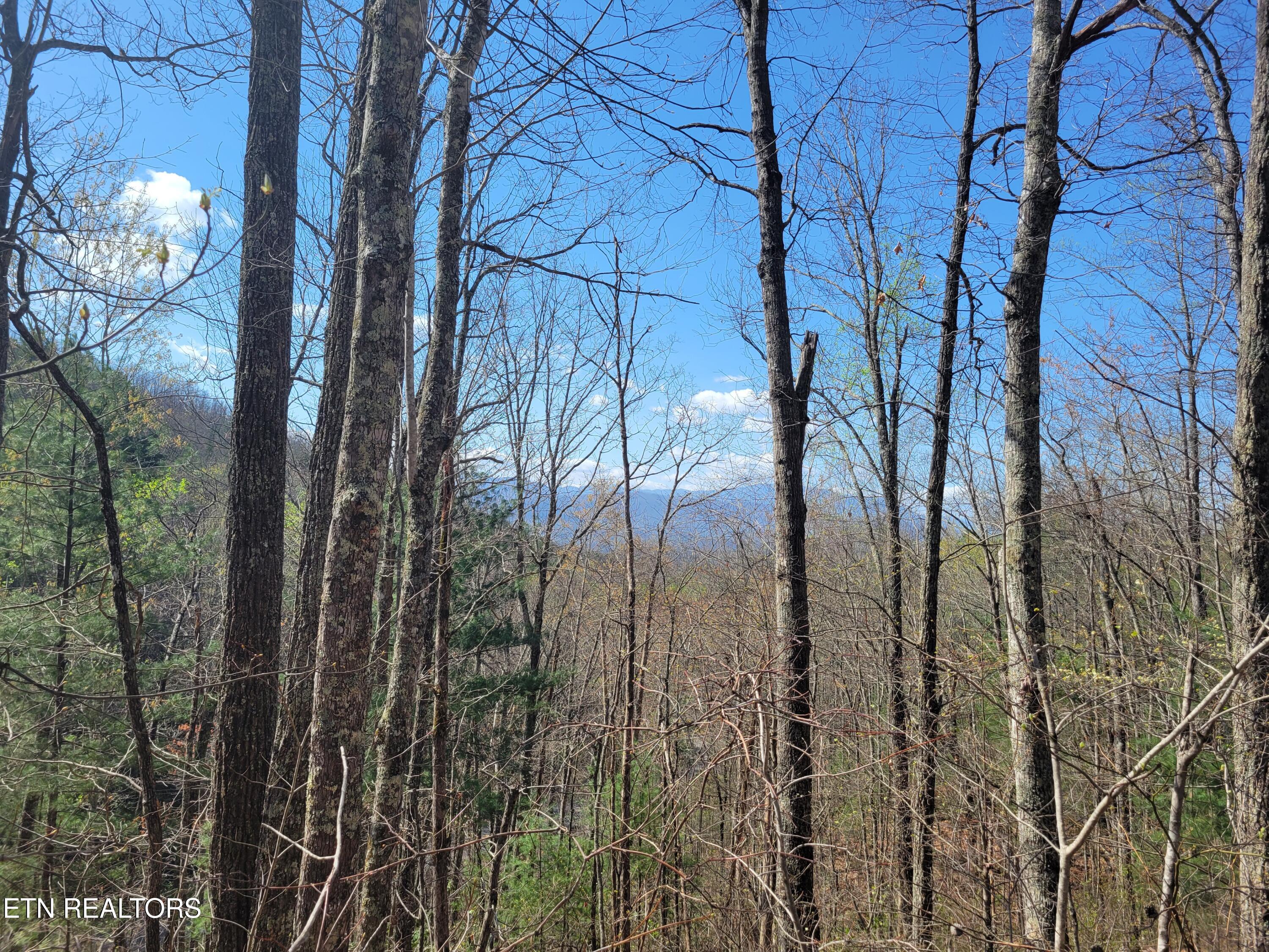 Lot 4 Alpine Drive Sevierville TN 37876