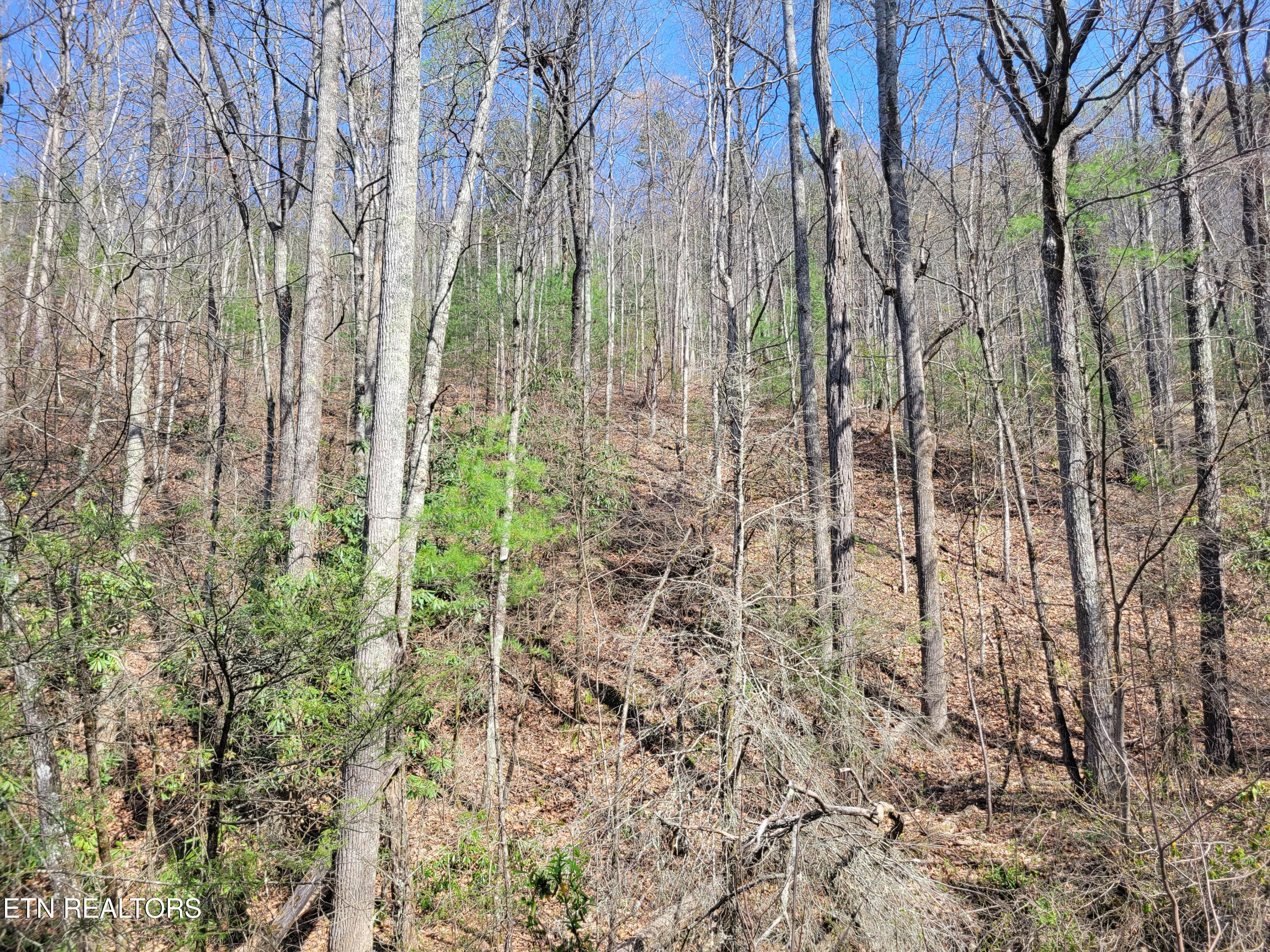 Lot 4 Alpine Drive Sevierville TN 37876