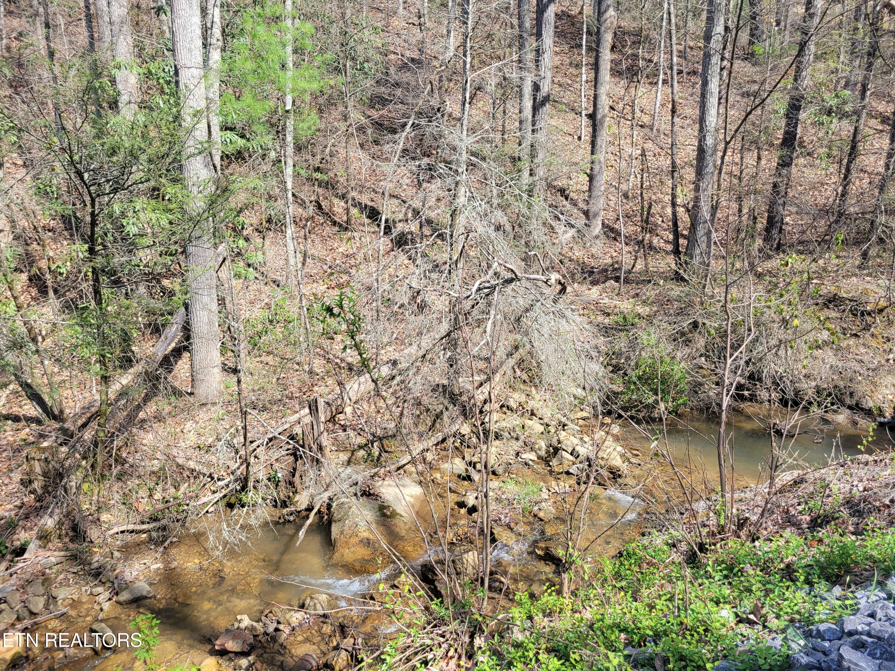 Lot 4 Alpine Drive Sevierville TN 37876