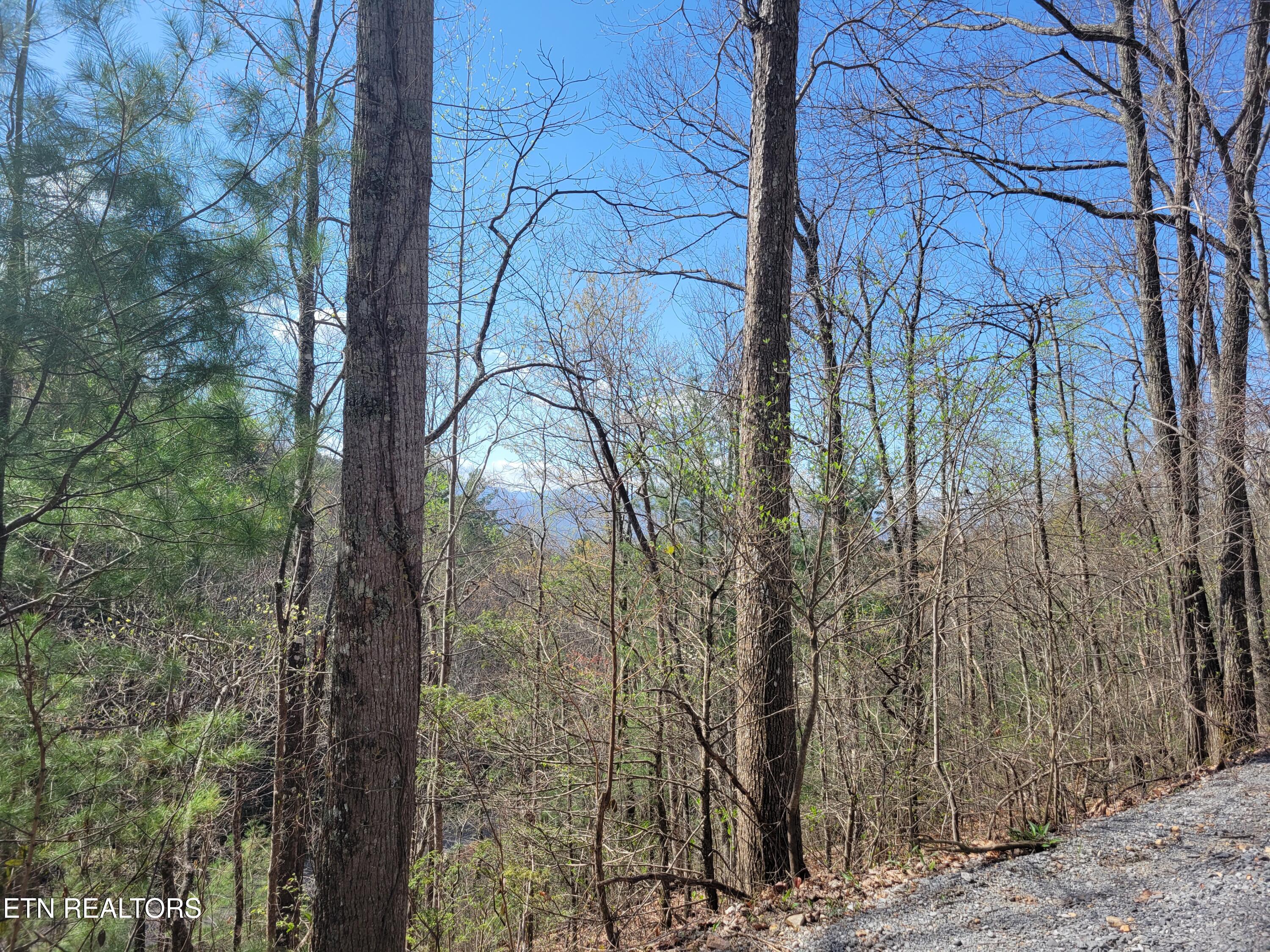 Lot 4 Alpine Drive Sevierville TN 37876