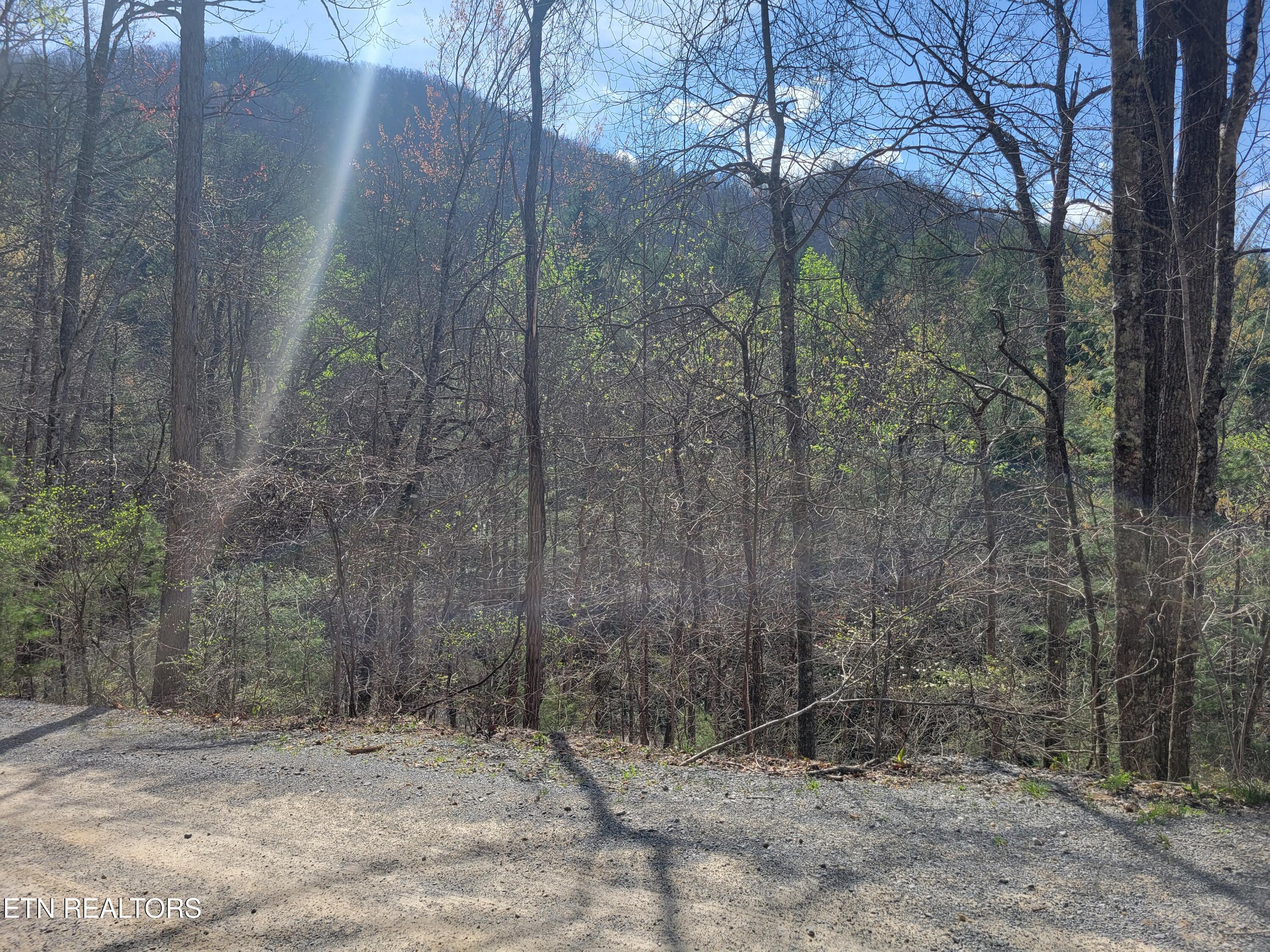 Lot 4 Alpine Drive Sevierville TN 37876