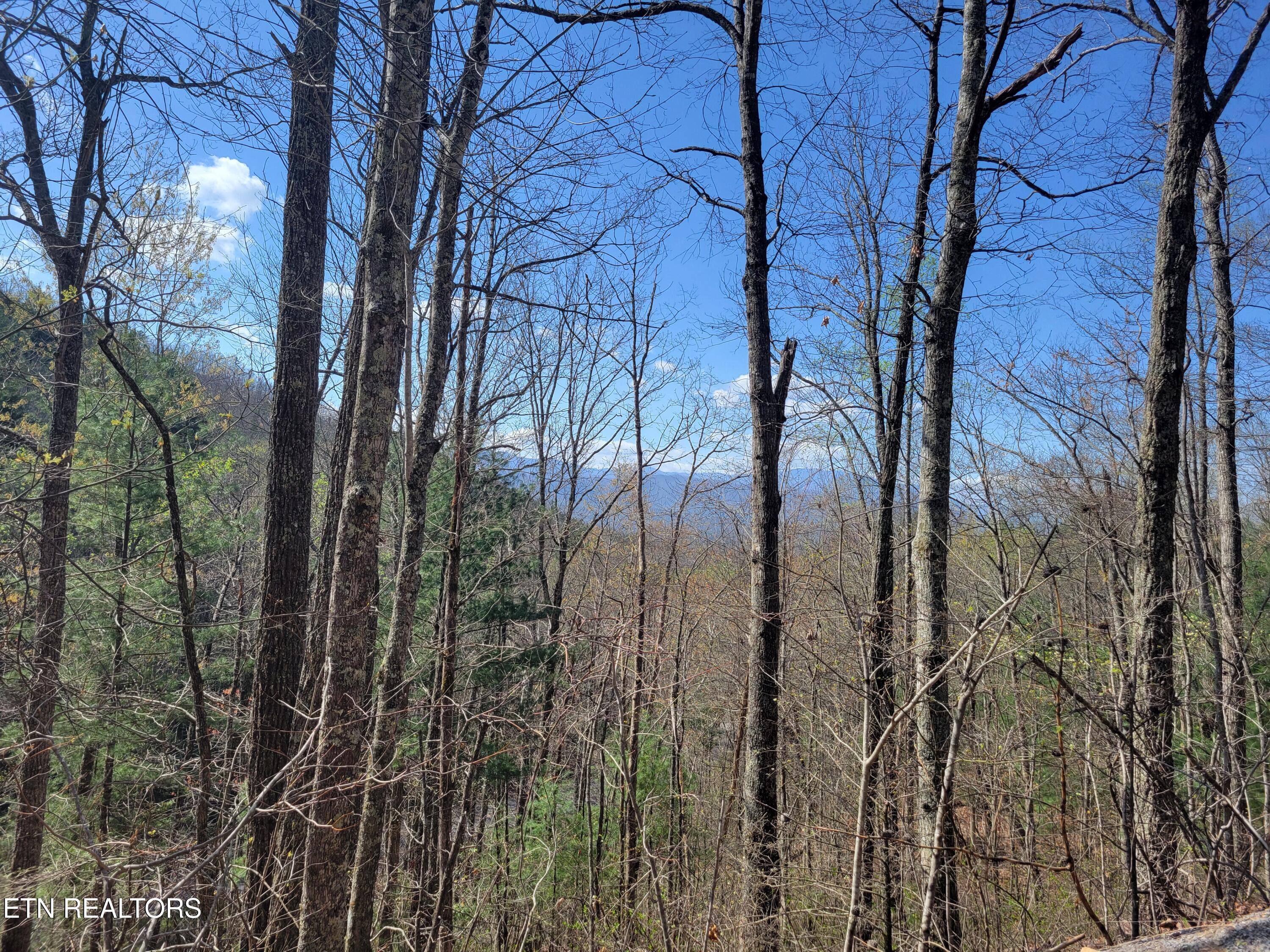 Lot 4 Alpine Drive Sevierville TN 37876