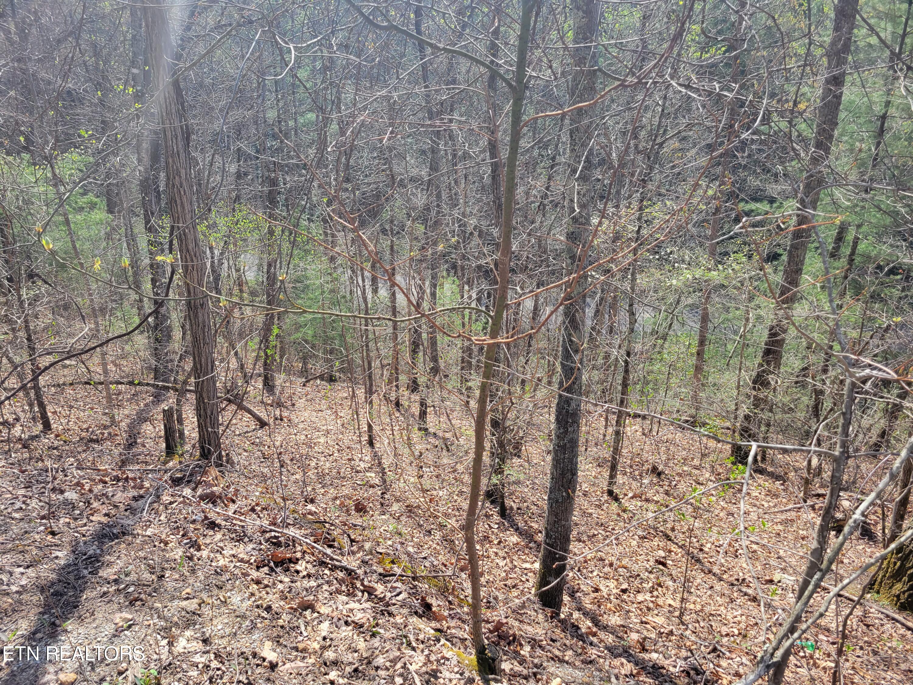 Lot 4 Alpine Drive Sevierville TN 37876