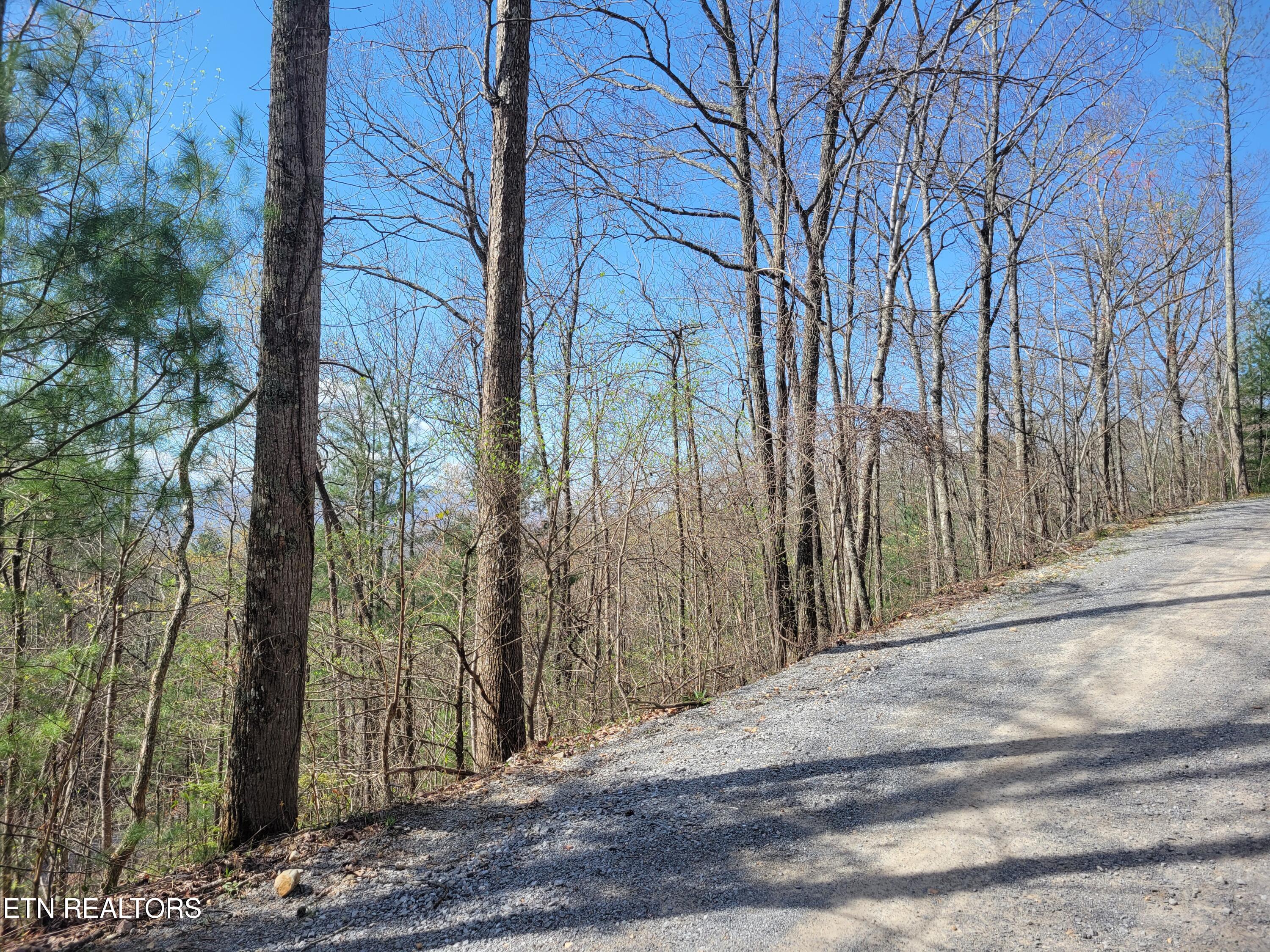 Lot 4 Alpine Drive Sevierville TN 37876