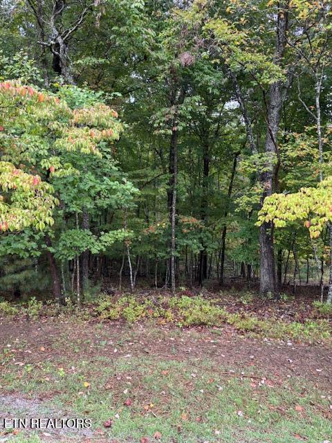 27 Chatham Court Fairfield Glade TN 38558